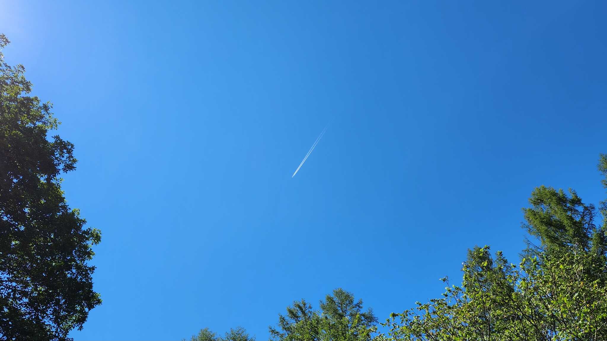 スカイサイトからの青空
