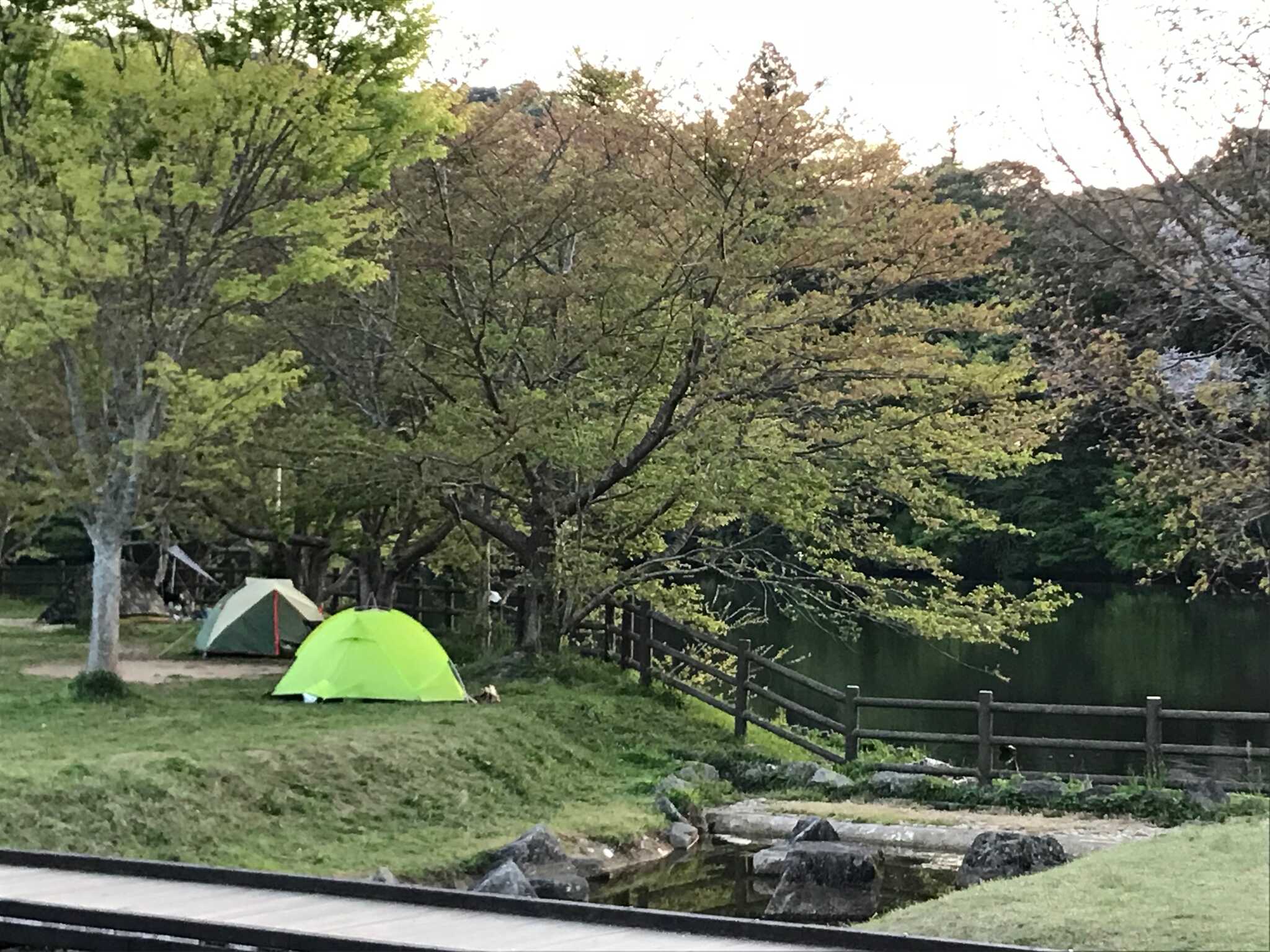 稲ヶ崎キャンプ場の写真 5枚目