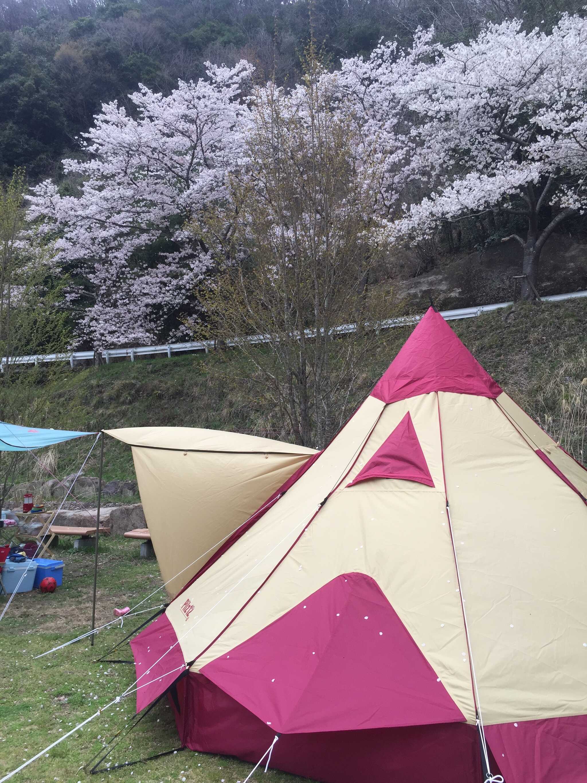 知明湖キャンプ場のユーザー投稿写真 10枚目