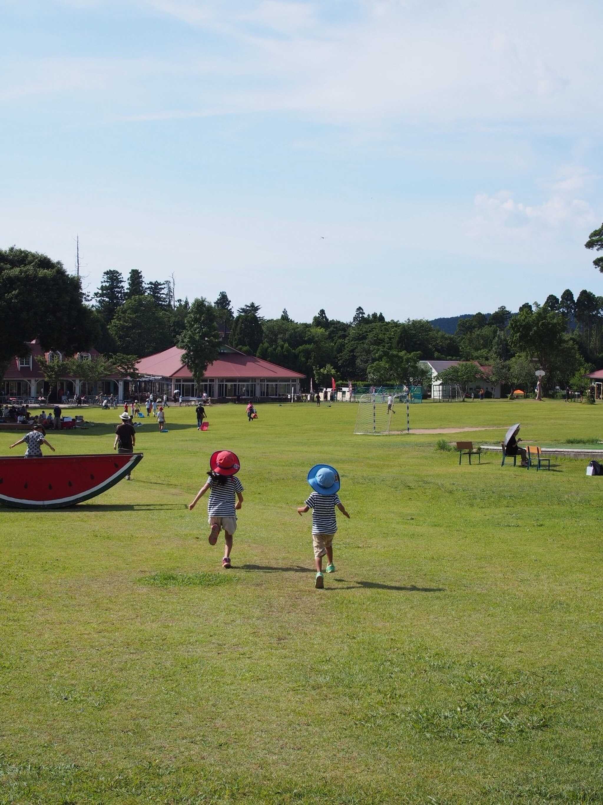 広い公園