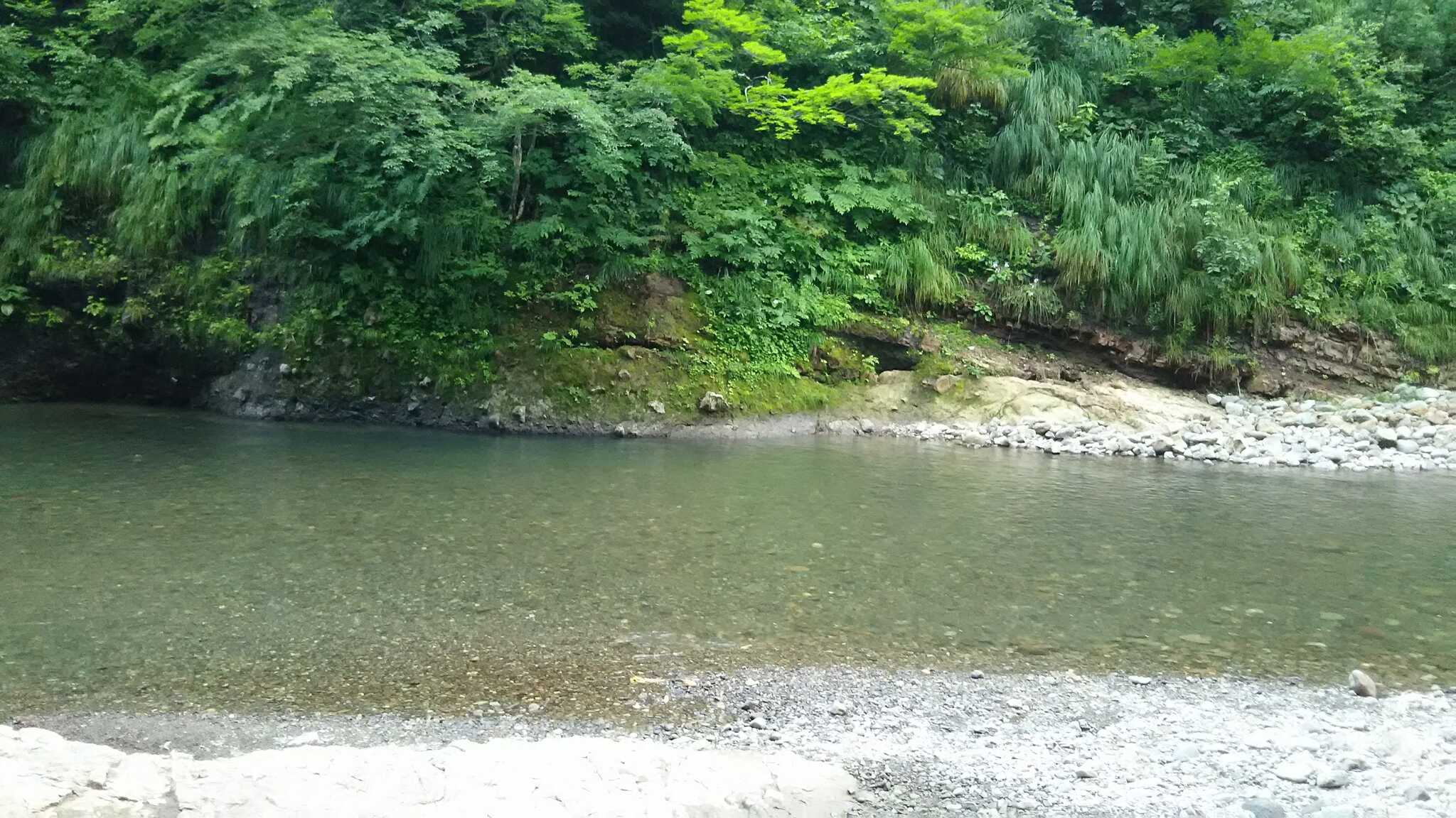 サイトからの散策 きれいな川です