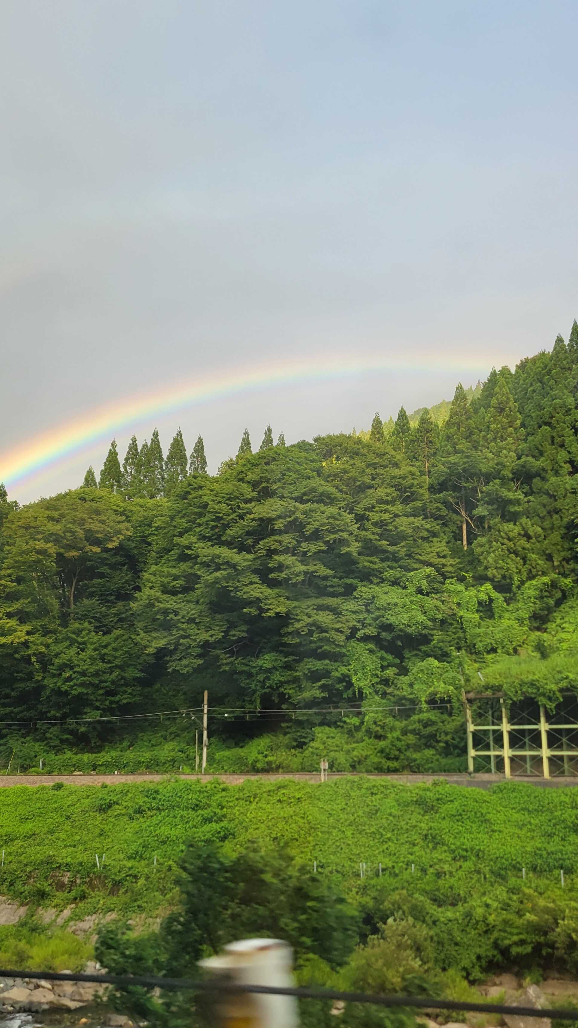 白馬森のわさび農園オートキャンプ場の口コミ投稿写真