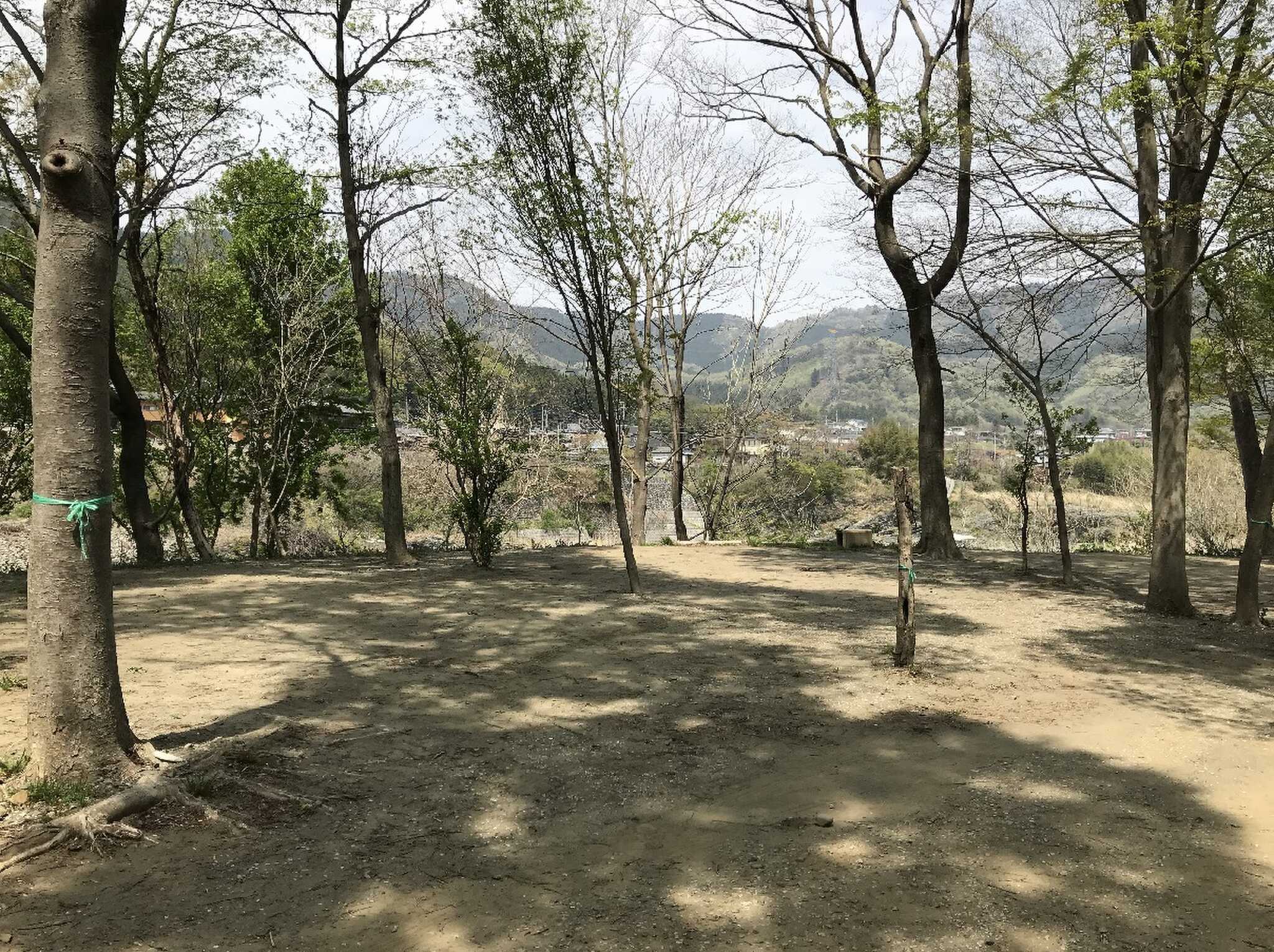 区画割り(木にテープ)