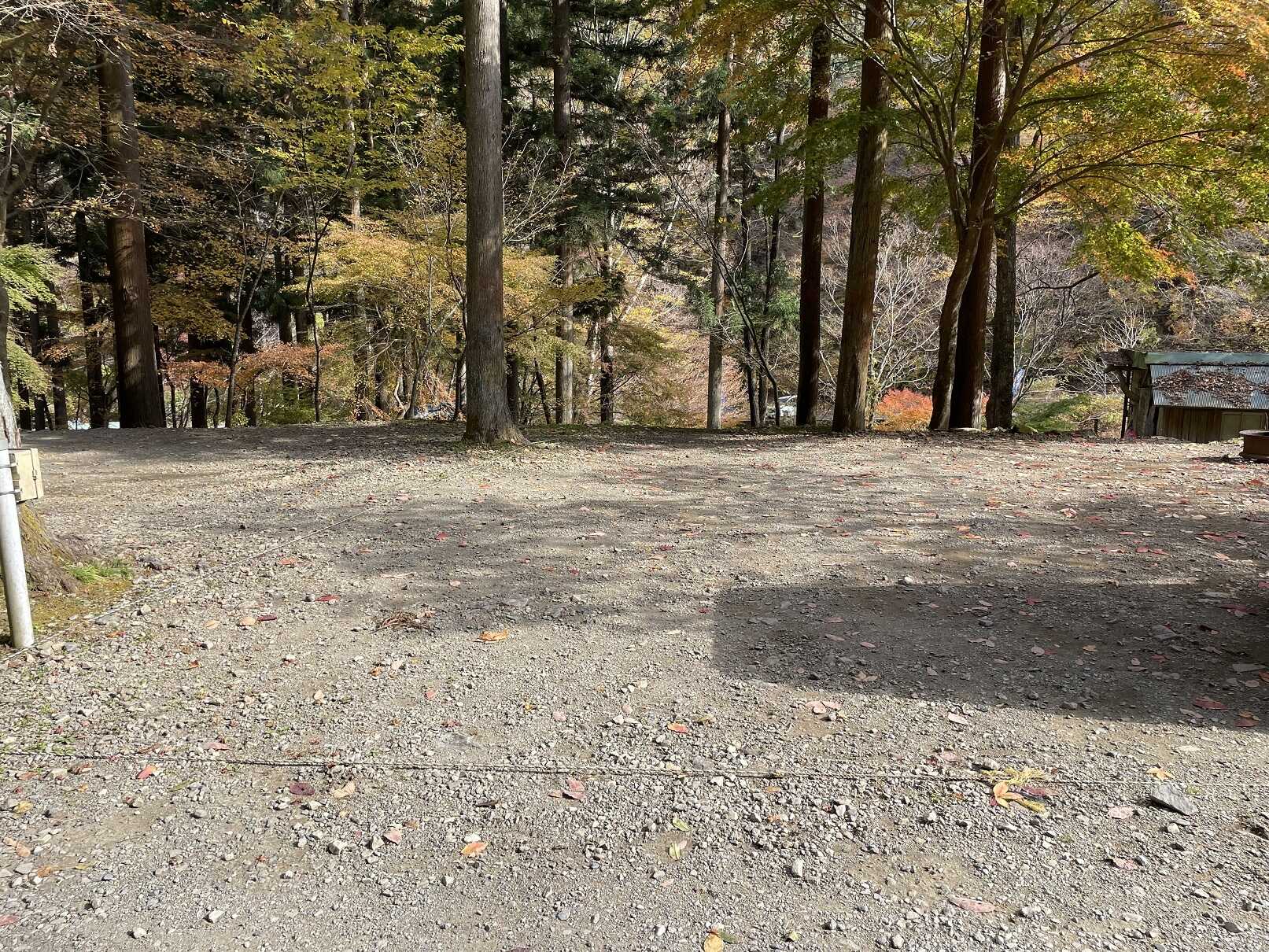 秩父彩の国キャンプ村の写真 2枚目