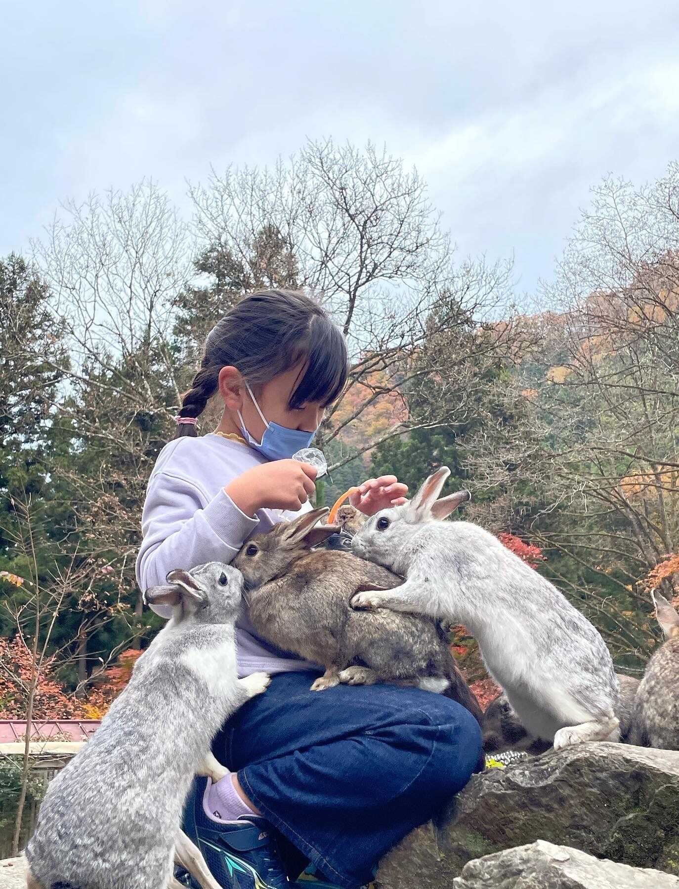 秩父彩の国キャンプ村の写真 3枚目