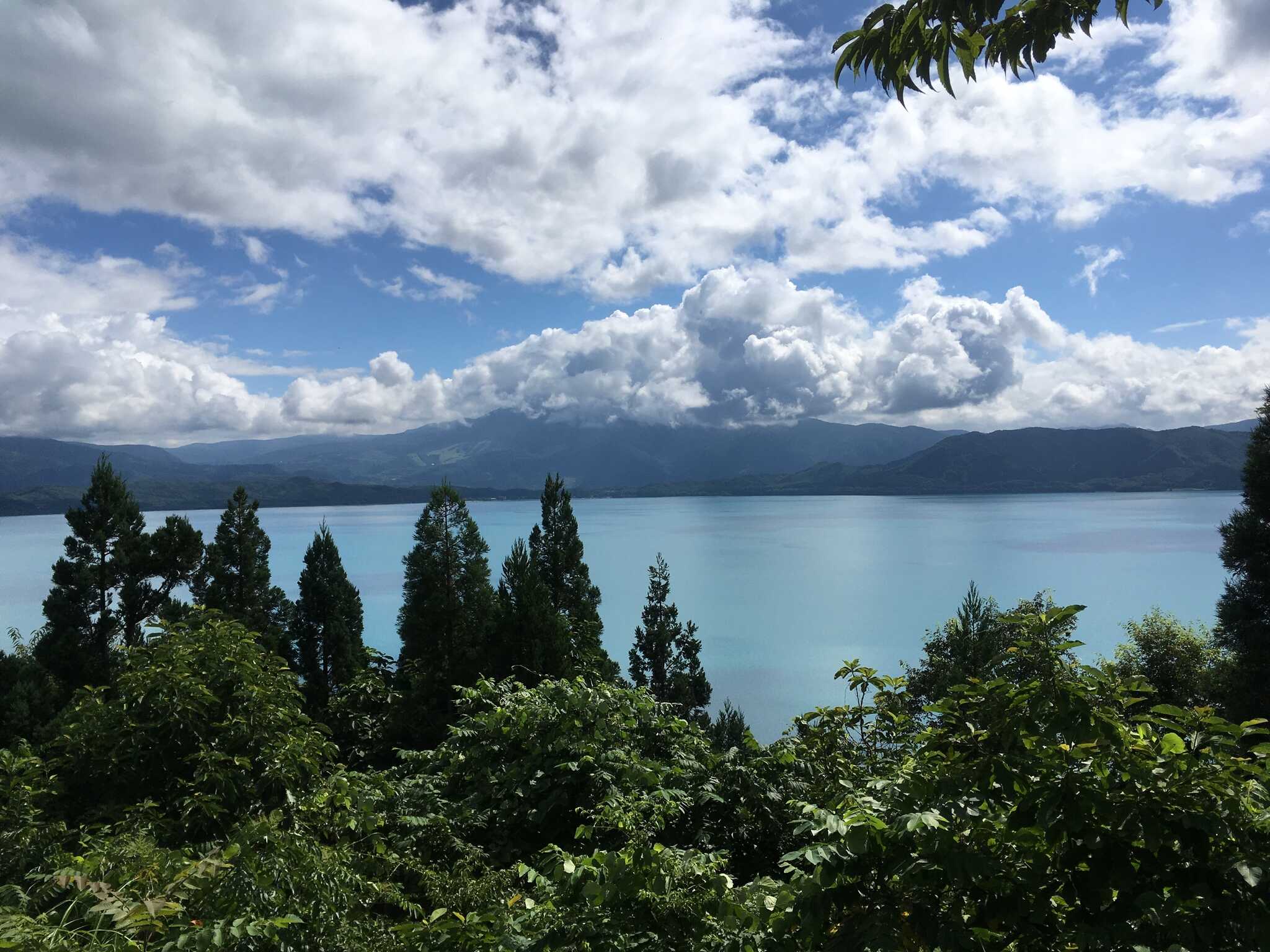 かたまえ山森林公園のユーザー投稿写真 10枚目