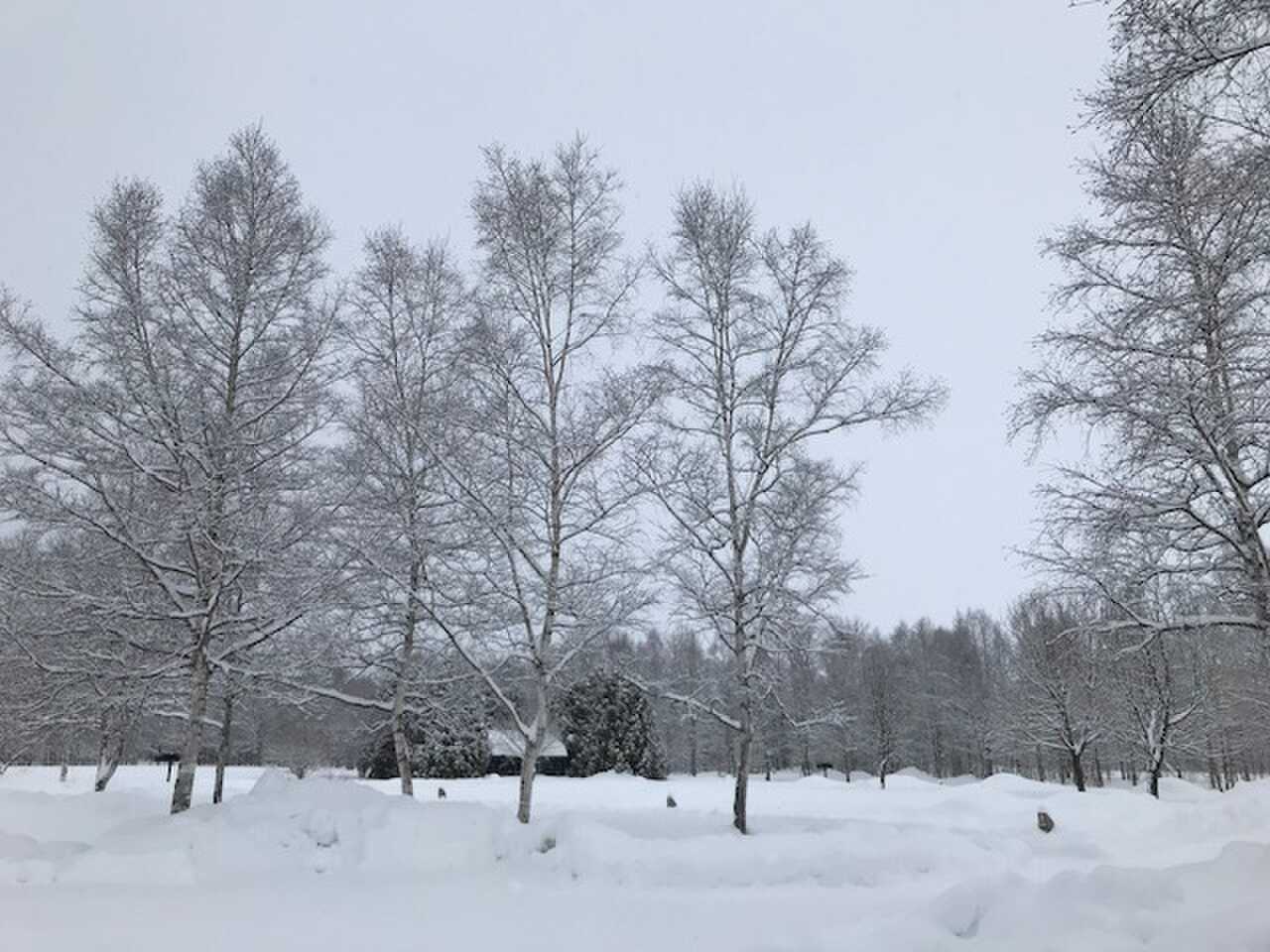 キャン上風景