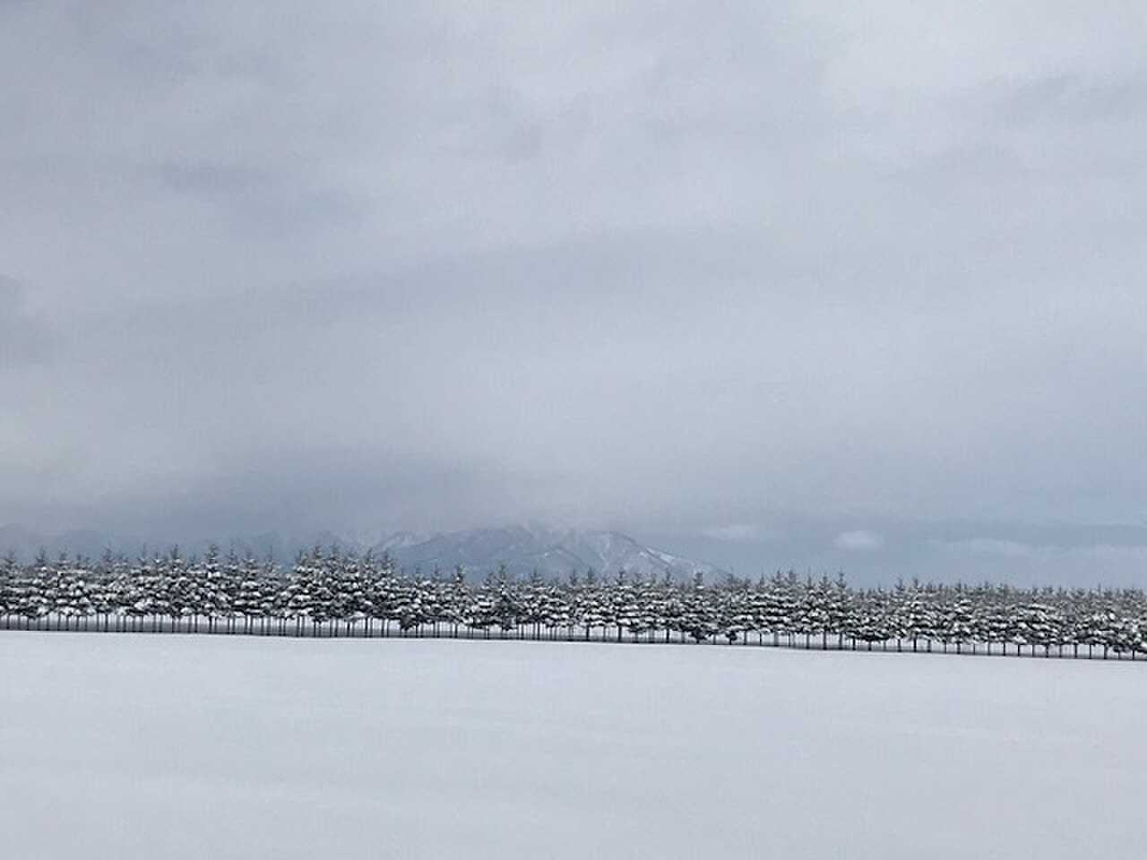 近隣の風景