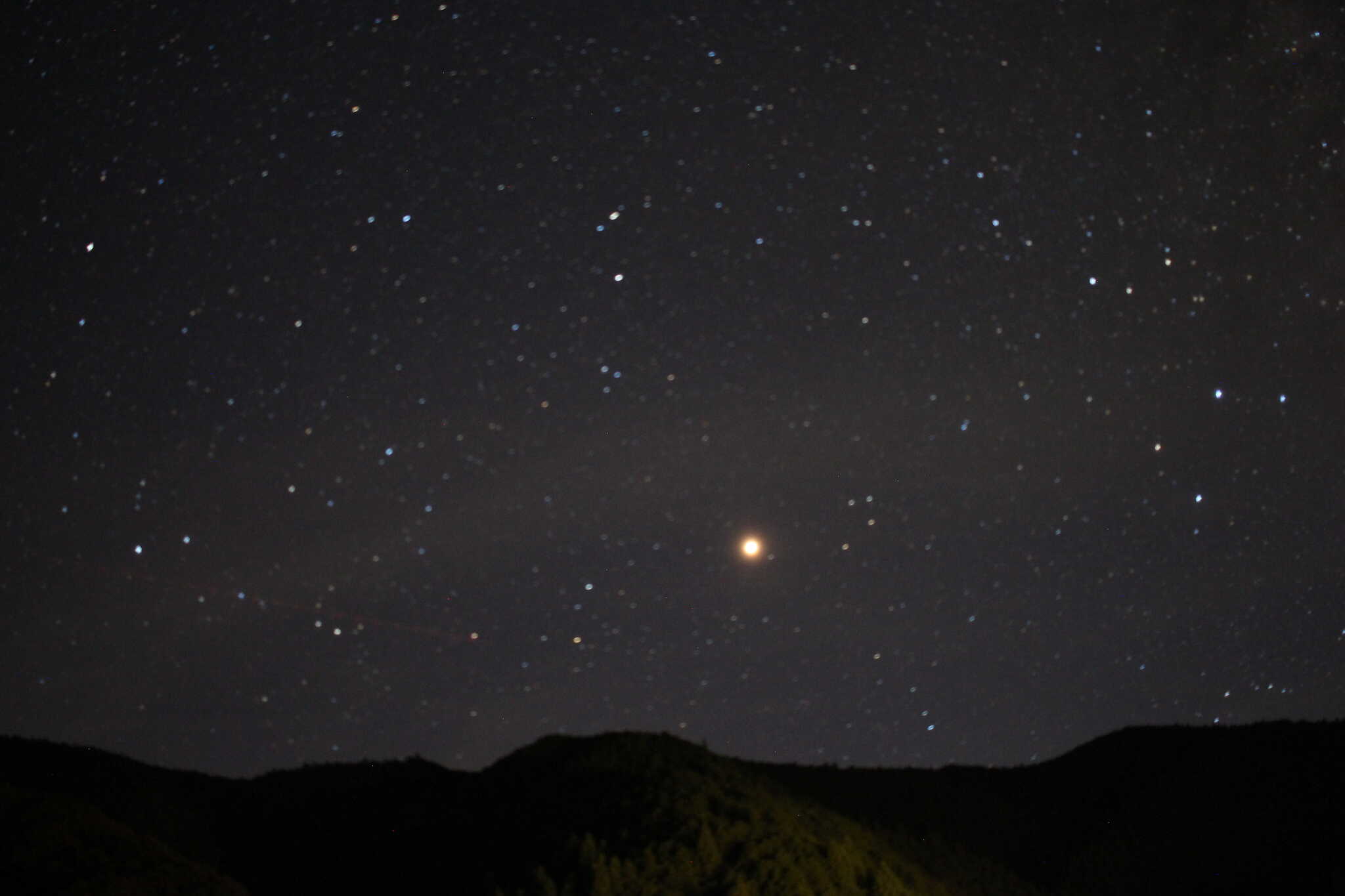 夜は星がきれいでした