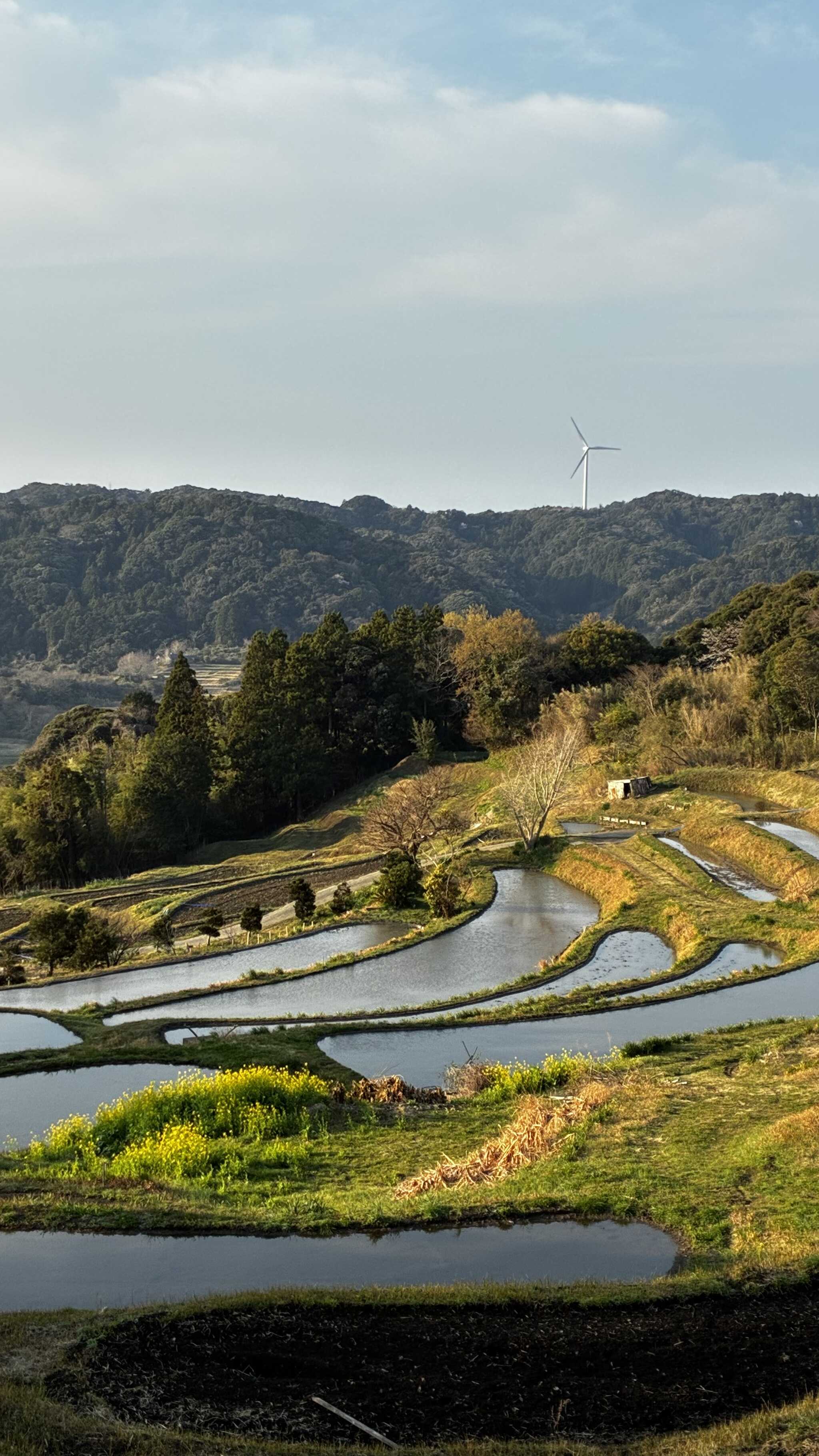 あるいて5分の棚田