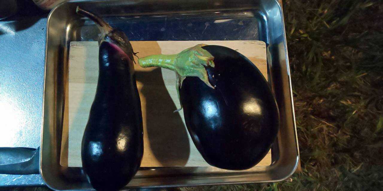 ナスをおすそ分けでいただきました