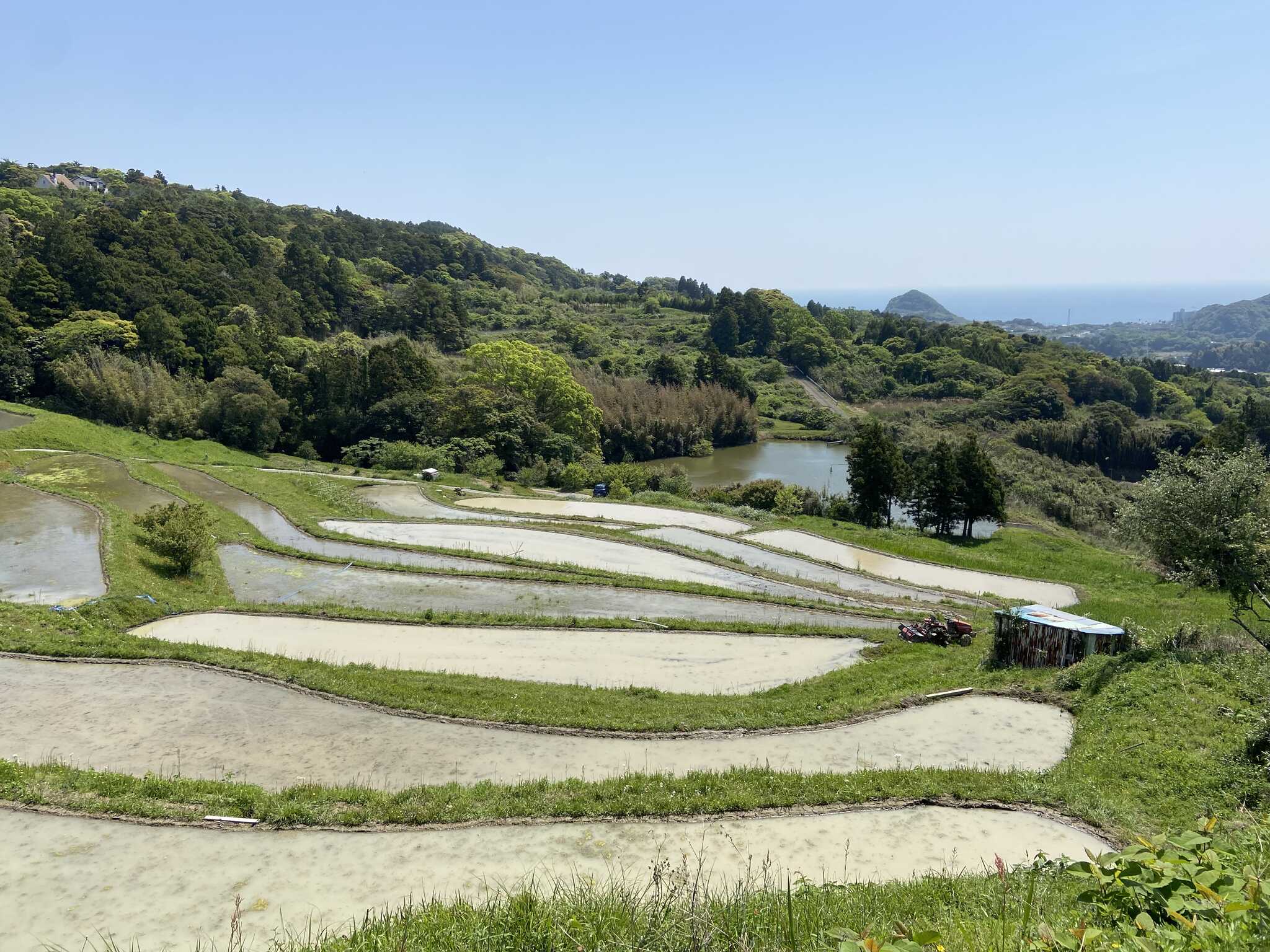 近くの棚田