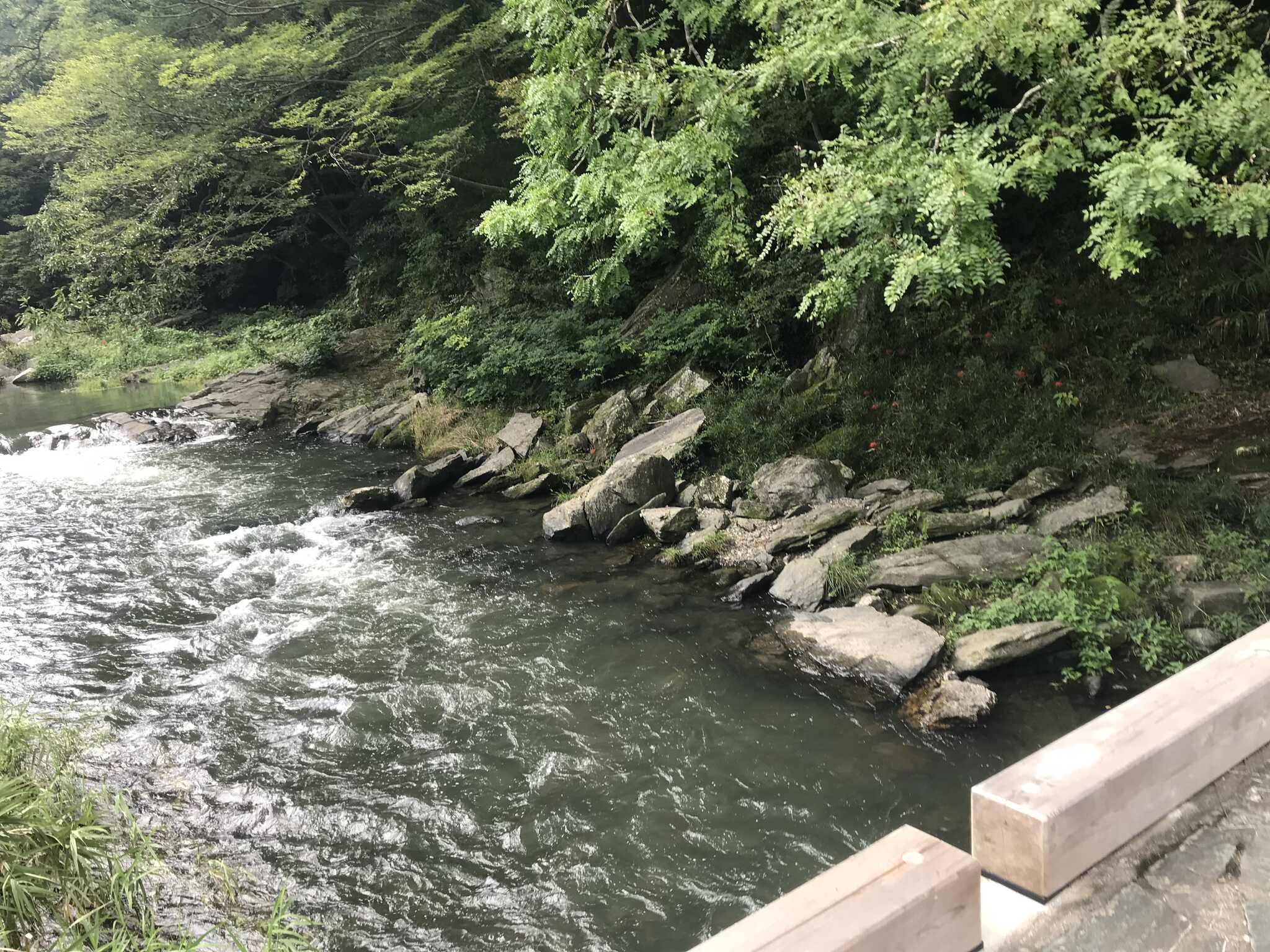 月川荘キャンプ場の写真 3枚目