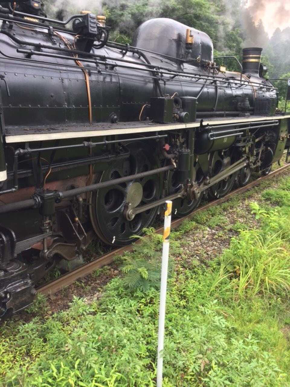 間近でみると凄い迫力です