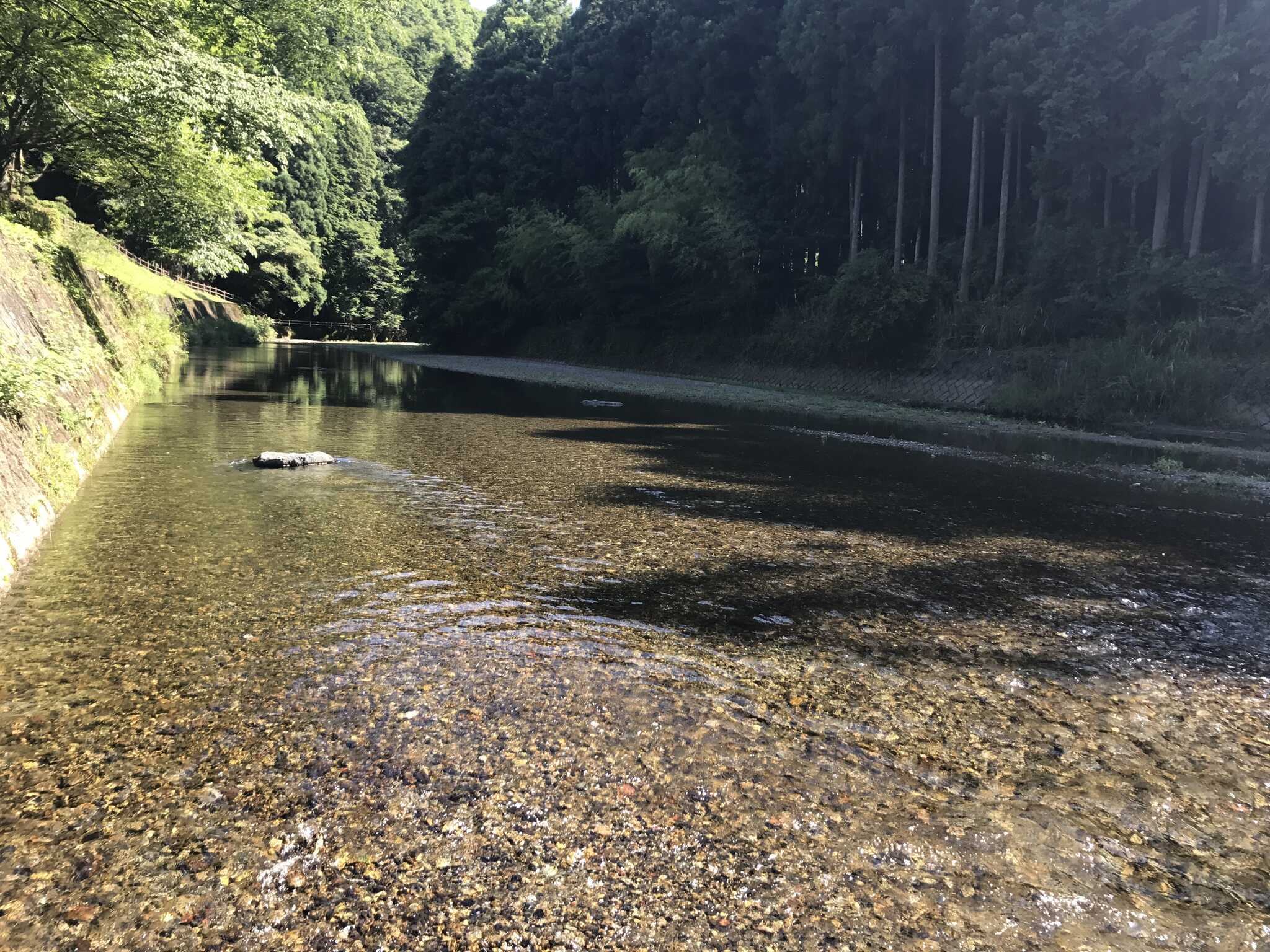 下市町森林公園やすらぎ村の写真 4枚目