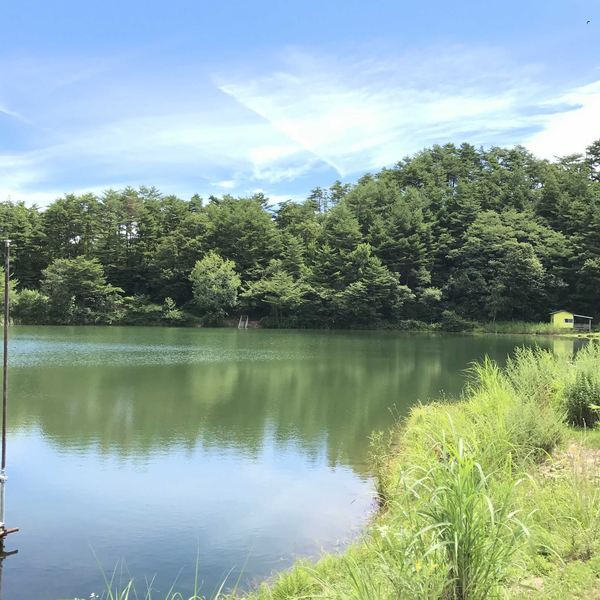 沢城湖ハートランド牧場の写真 4枚目