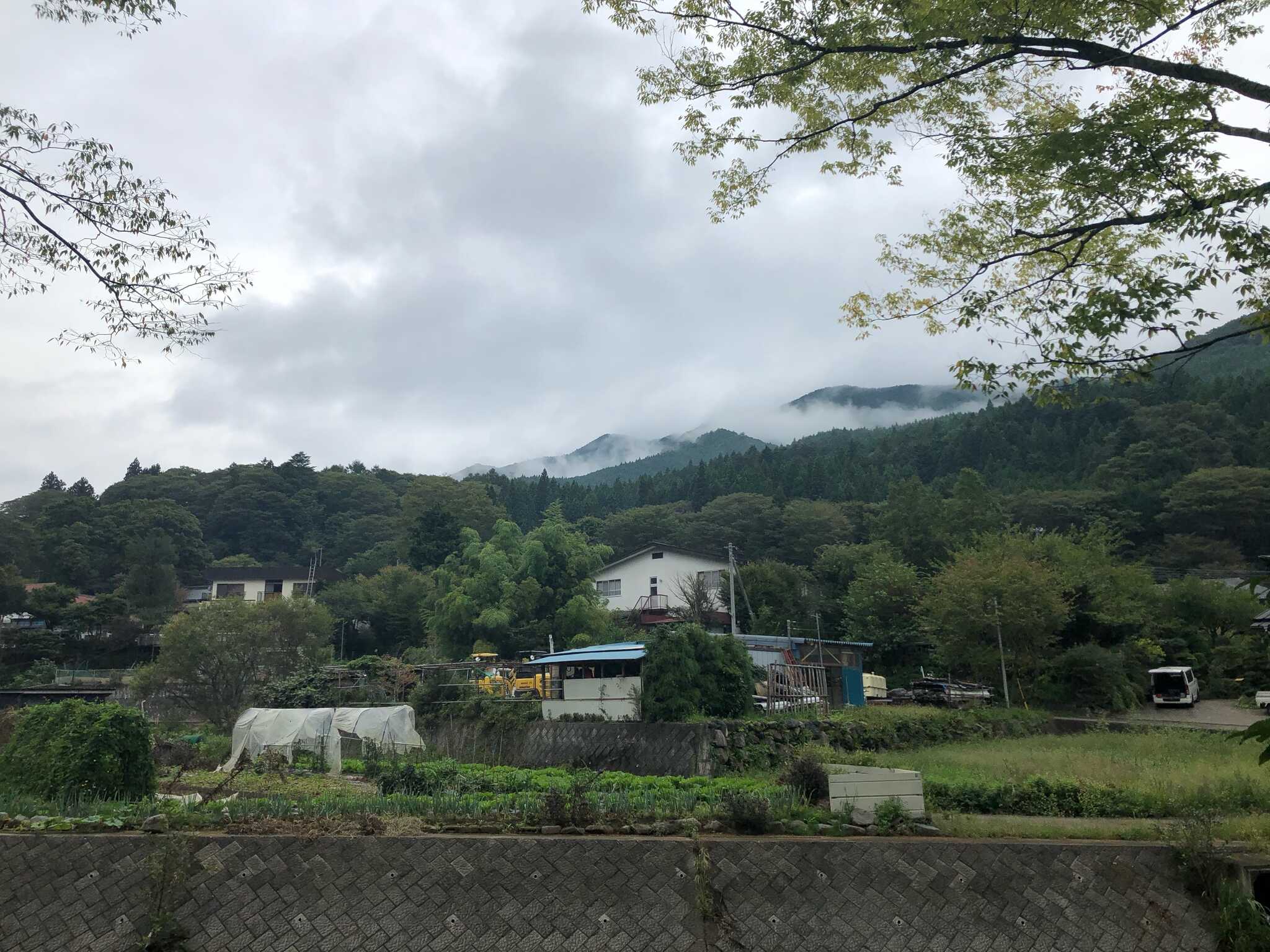 サイトから川を望む
