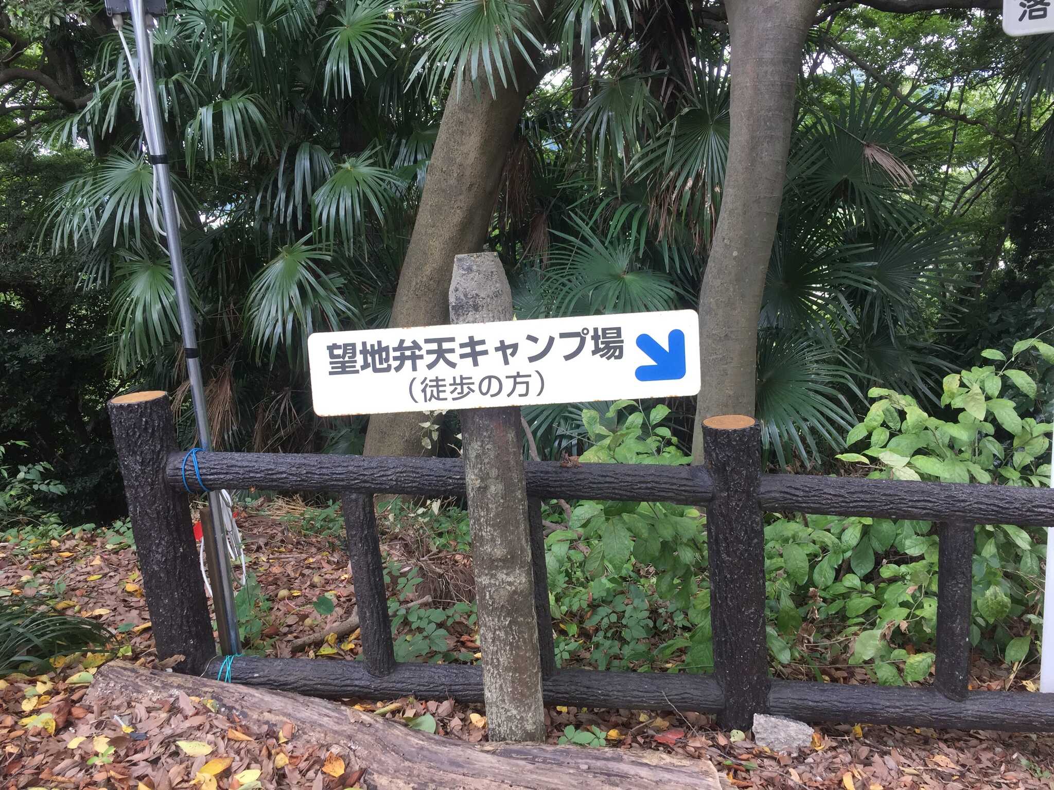 望地弁天キャンプ場の写真 2枚目