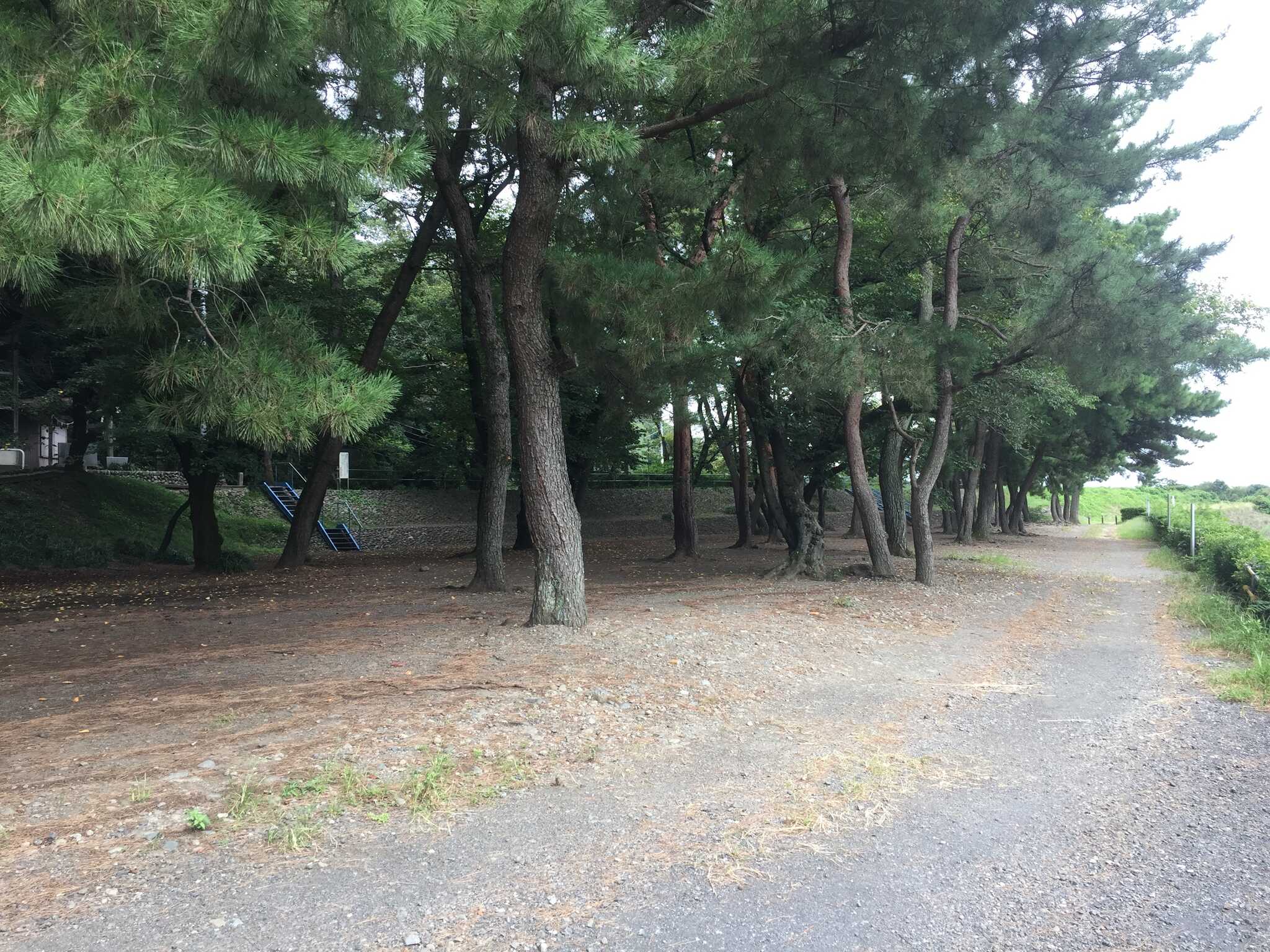 望地弁天キャンプ場の写真 3枚目