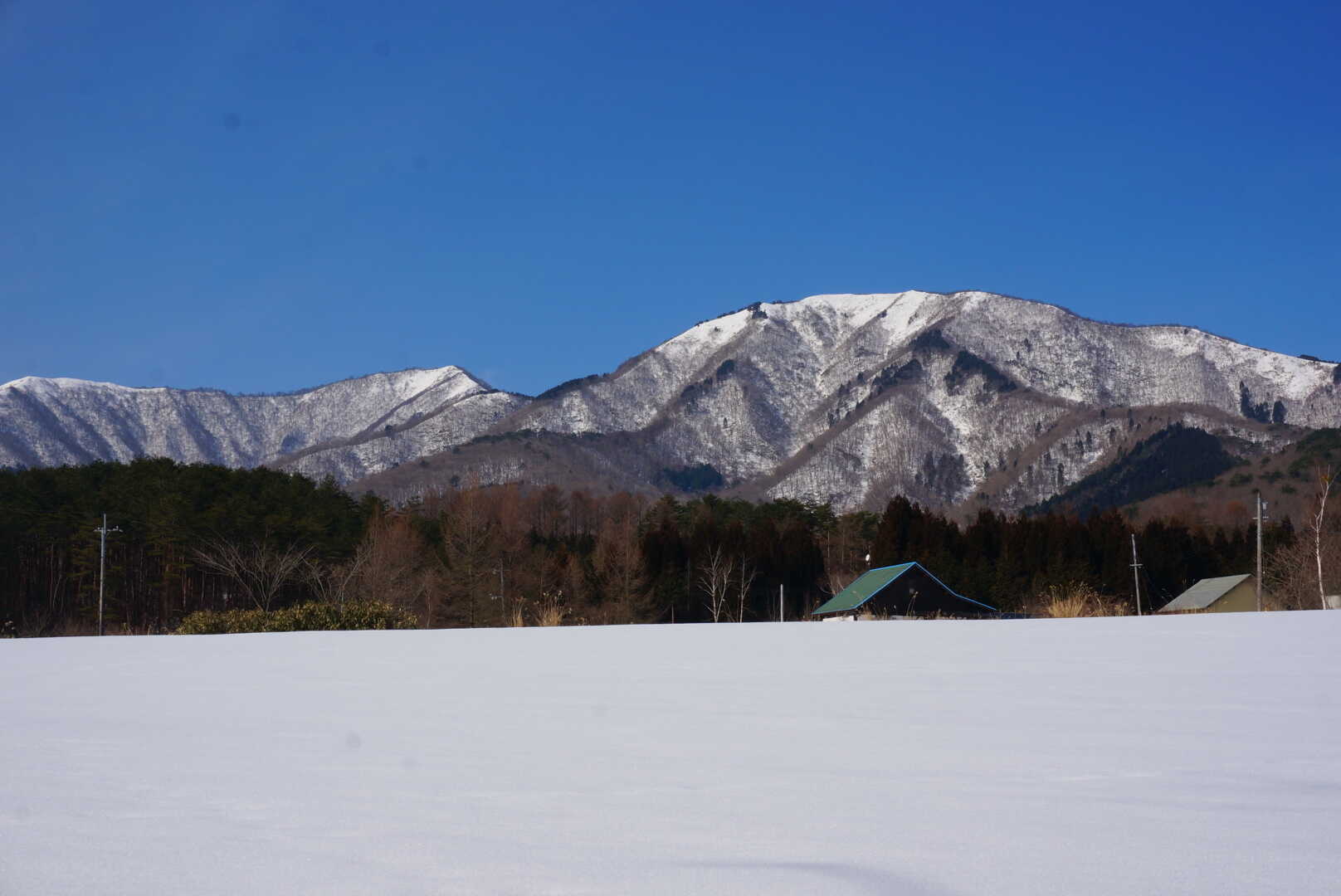 中蒜山オートキャンプ場の写真 5枚目
