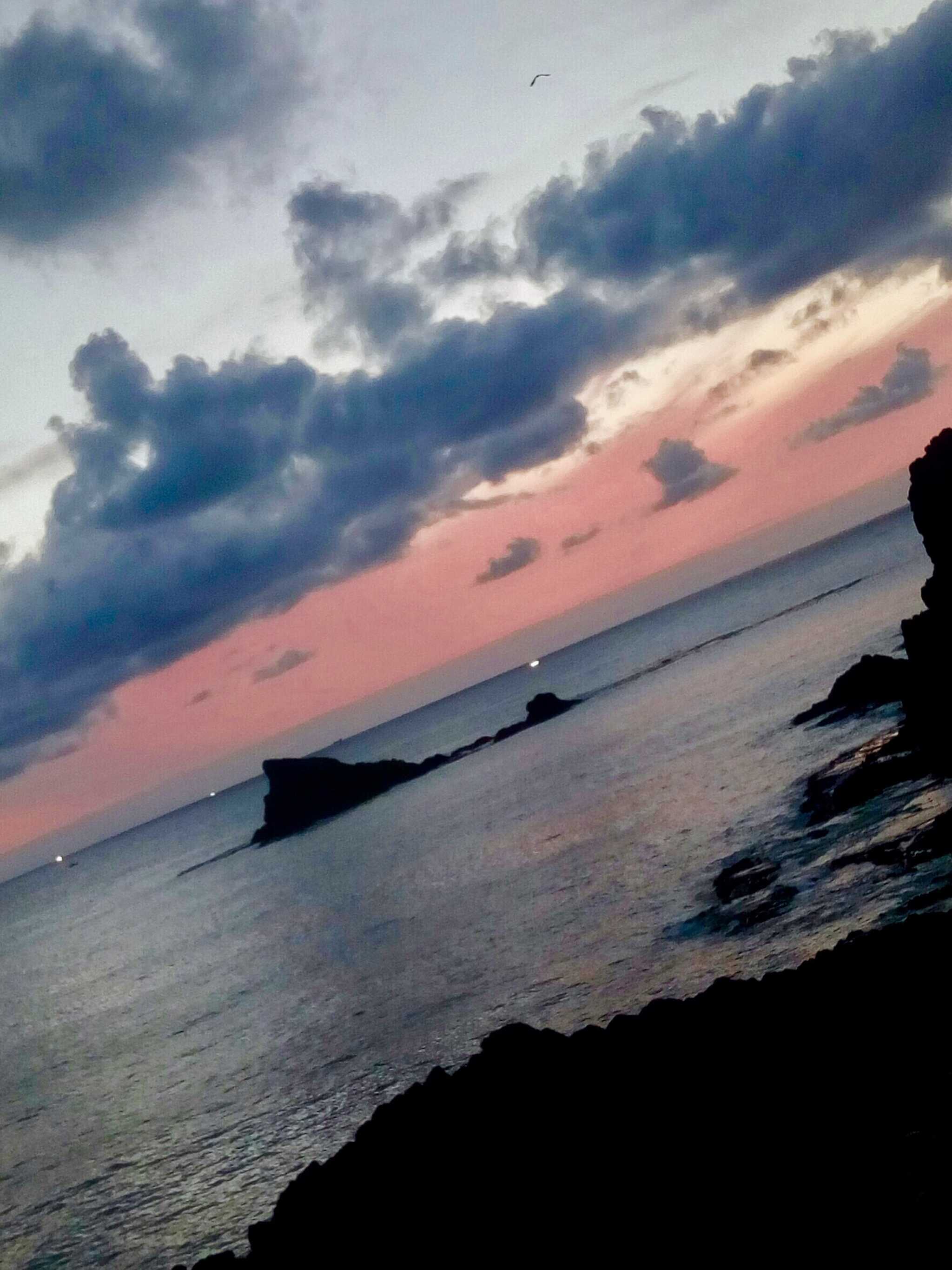 桂島キャンプ場の写真 4枚目