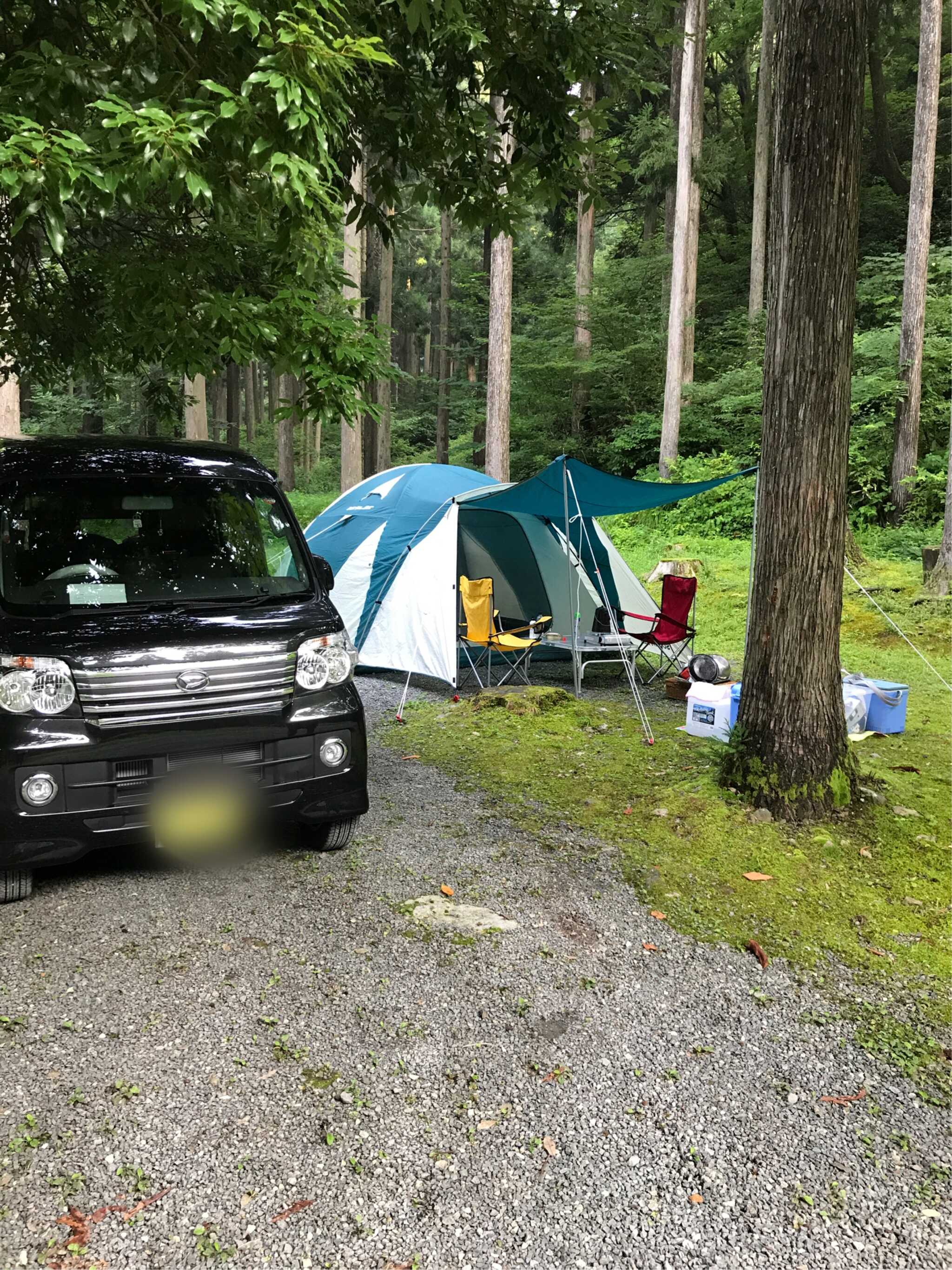 石川県県民の森のユーザー投稿写真 12枚目