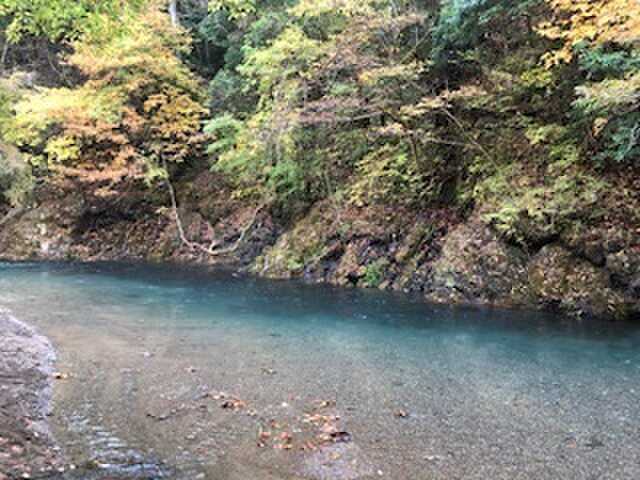 緑と太陽の丘キャンプ場の写真 3枚目