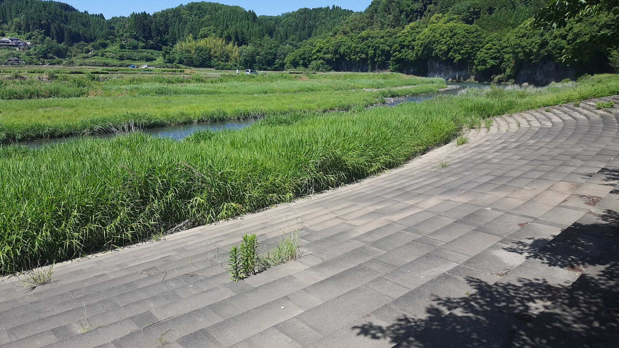 辻河原公園の写真 5枚目