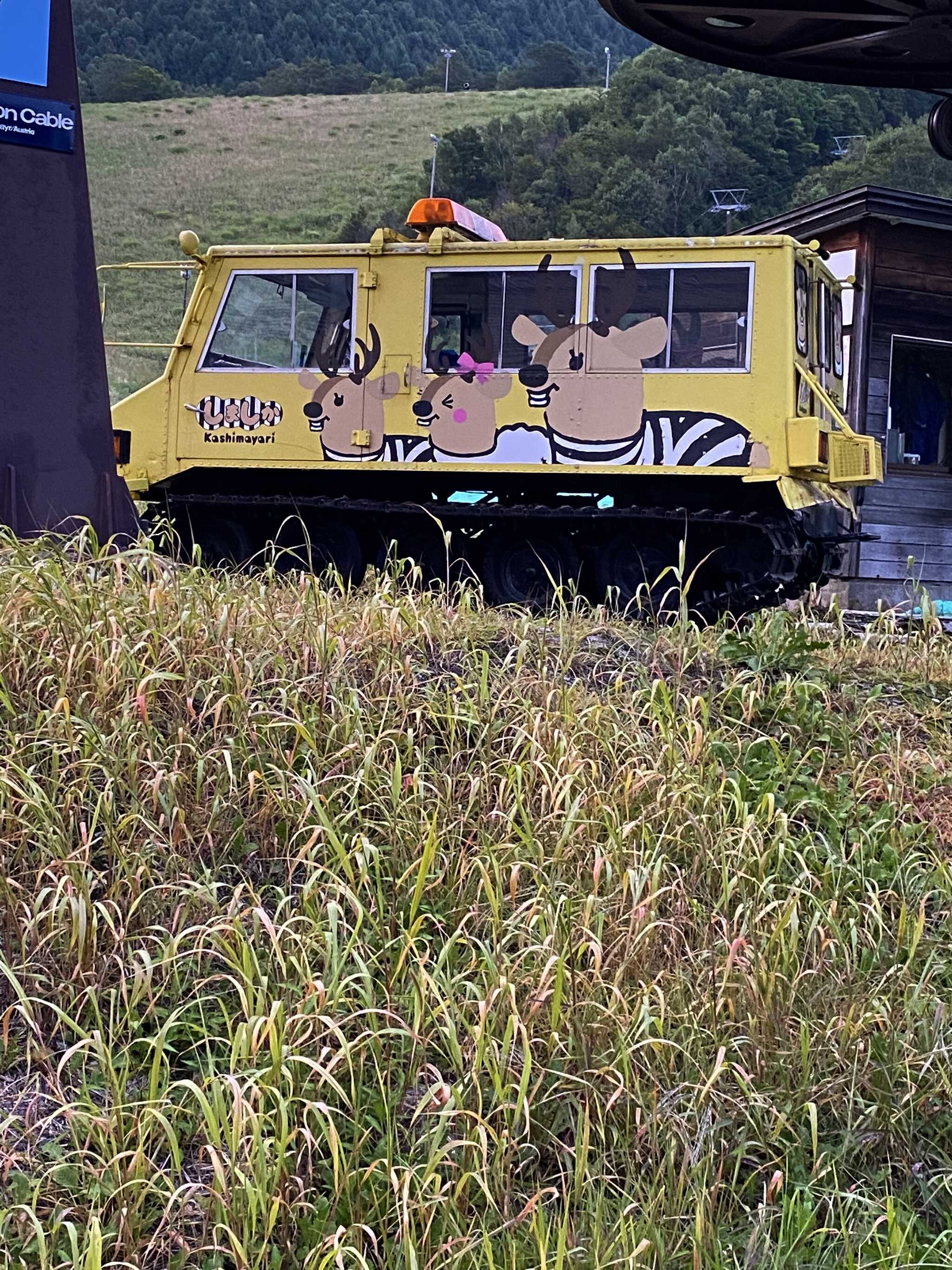 シマシカさん