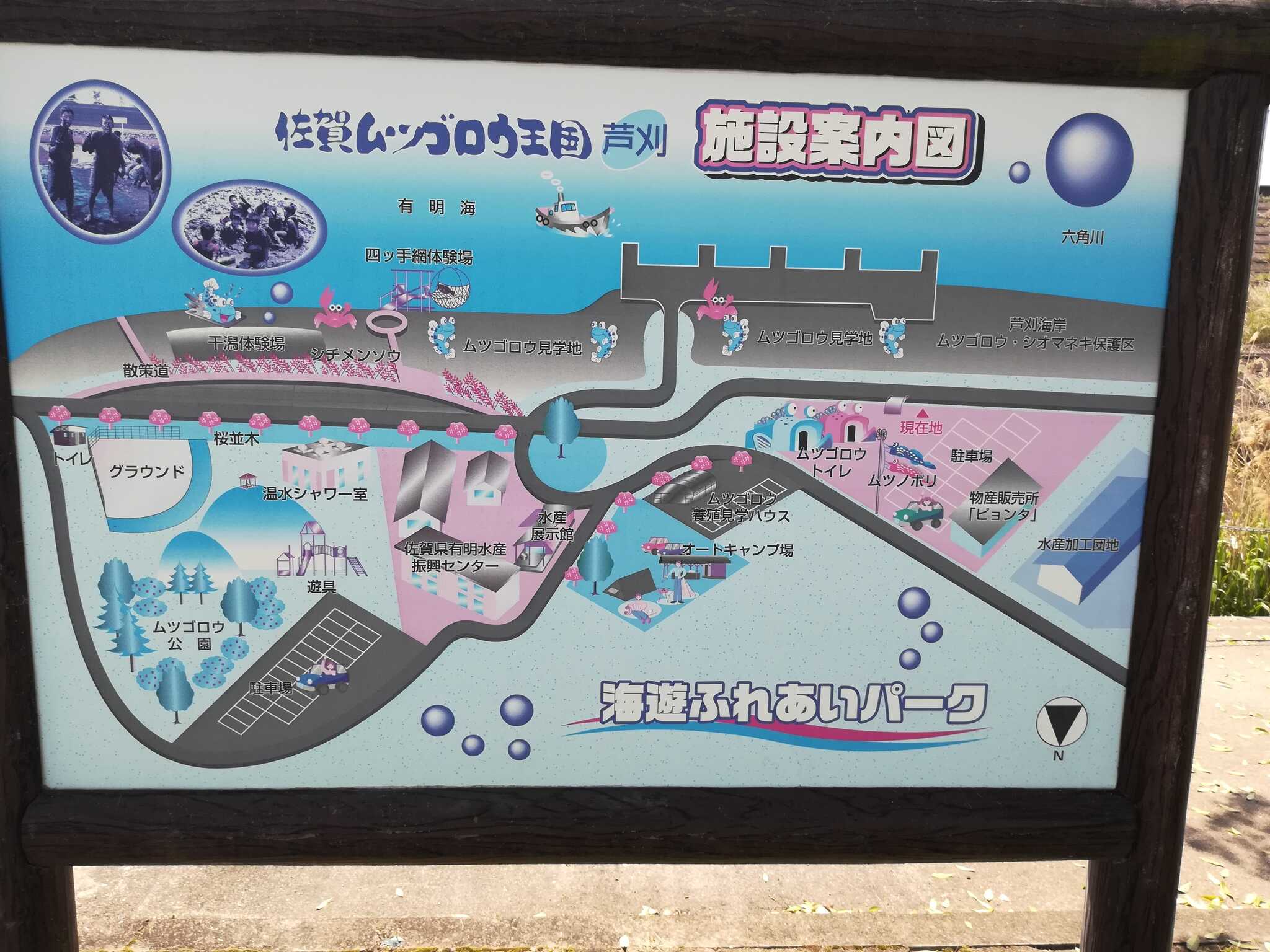 海遊ふれあいパークオートキャンプ場の写真 4枚目