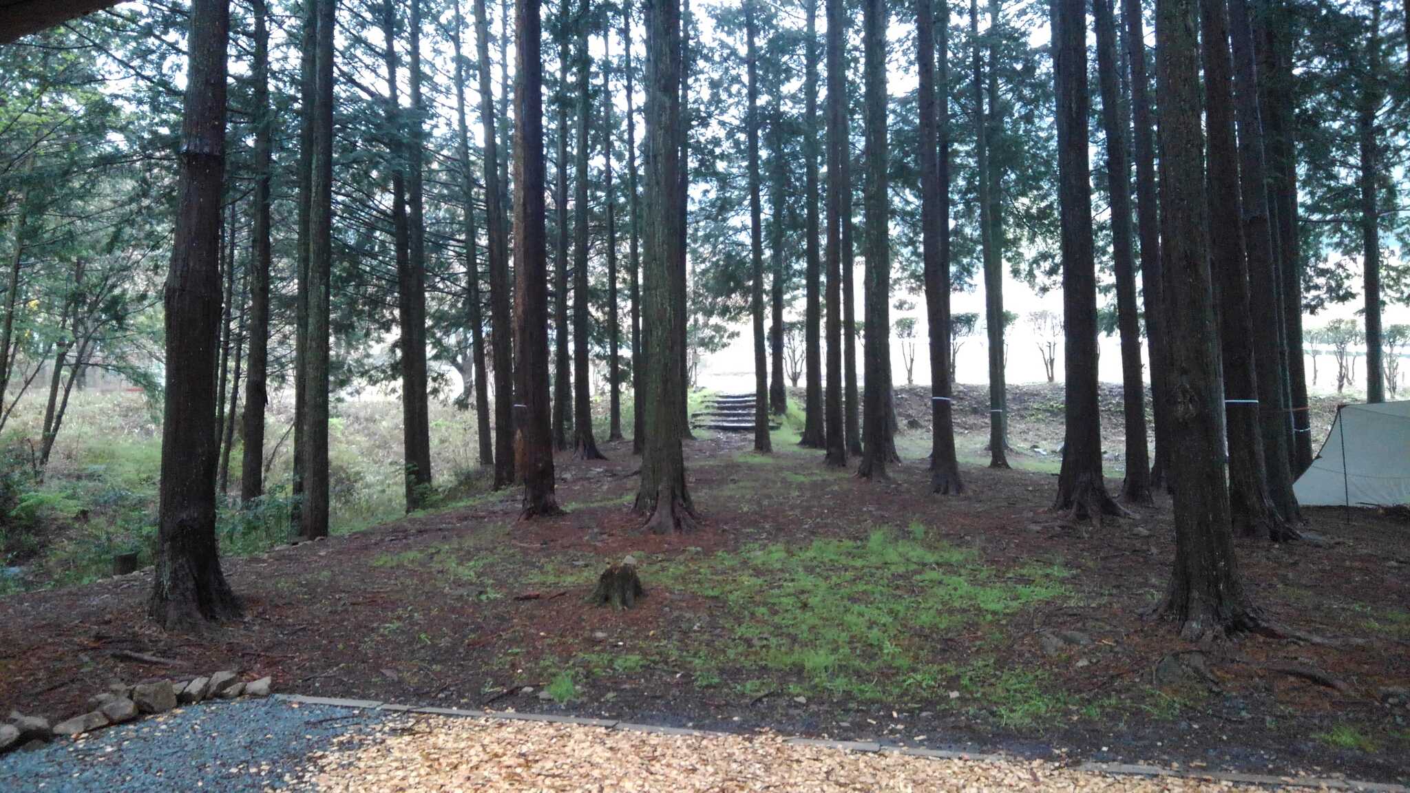 青雲の杜キャンプ場(多可青雲の家)の口コミ投稿写真