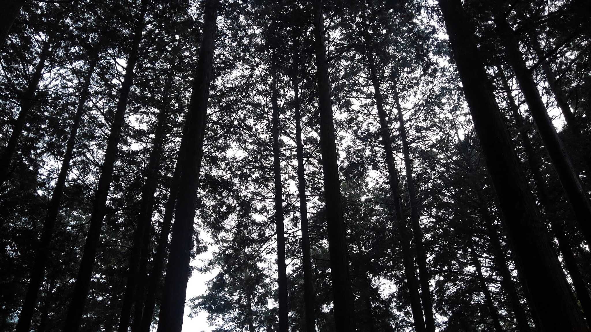 青雲の杜キャンプ場(多可青雲の家)の口コミ投稿写真