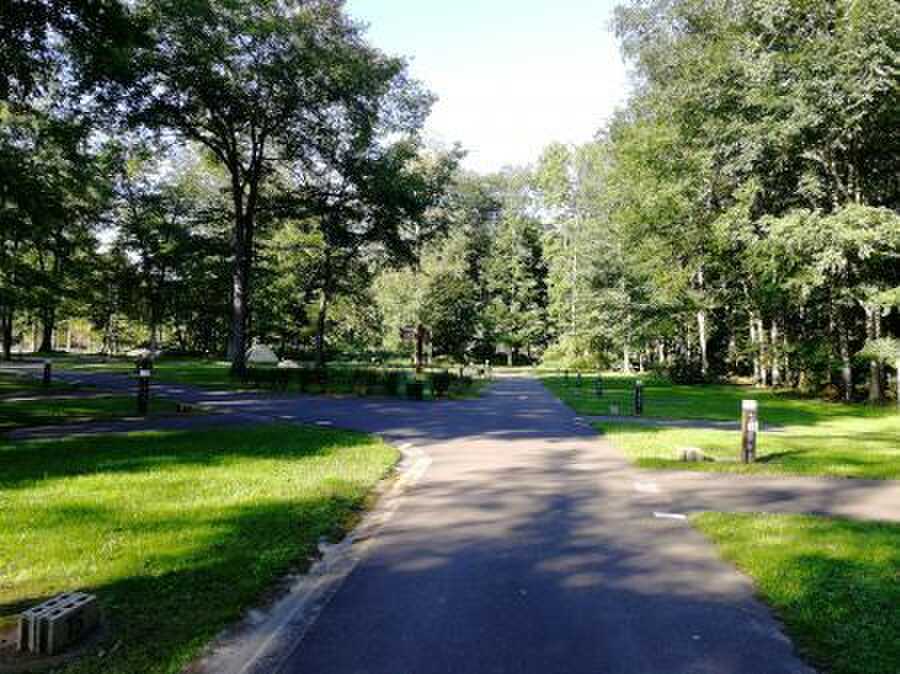 森林公園いこいの森オートキャンプ場の写真 3枚目
