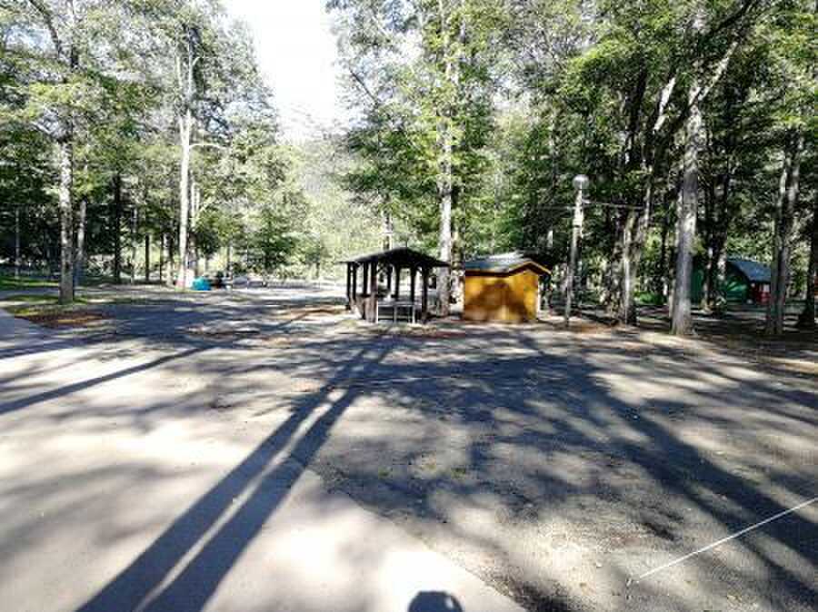 森林公園いこいの森オートキャンプ場の写真 5枚目