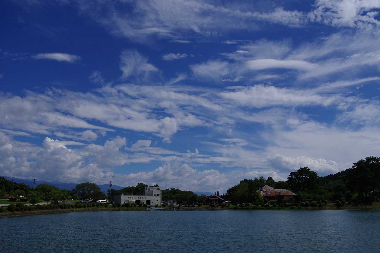 湖周辺の景色