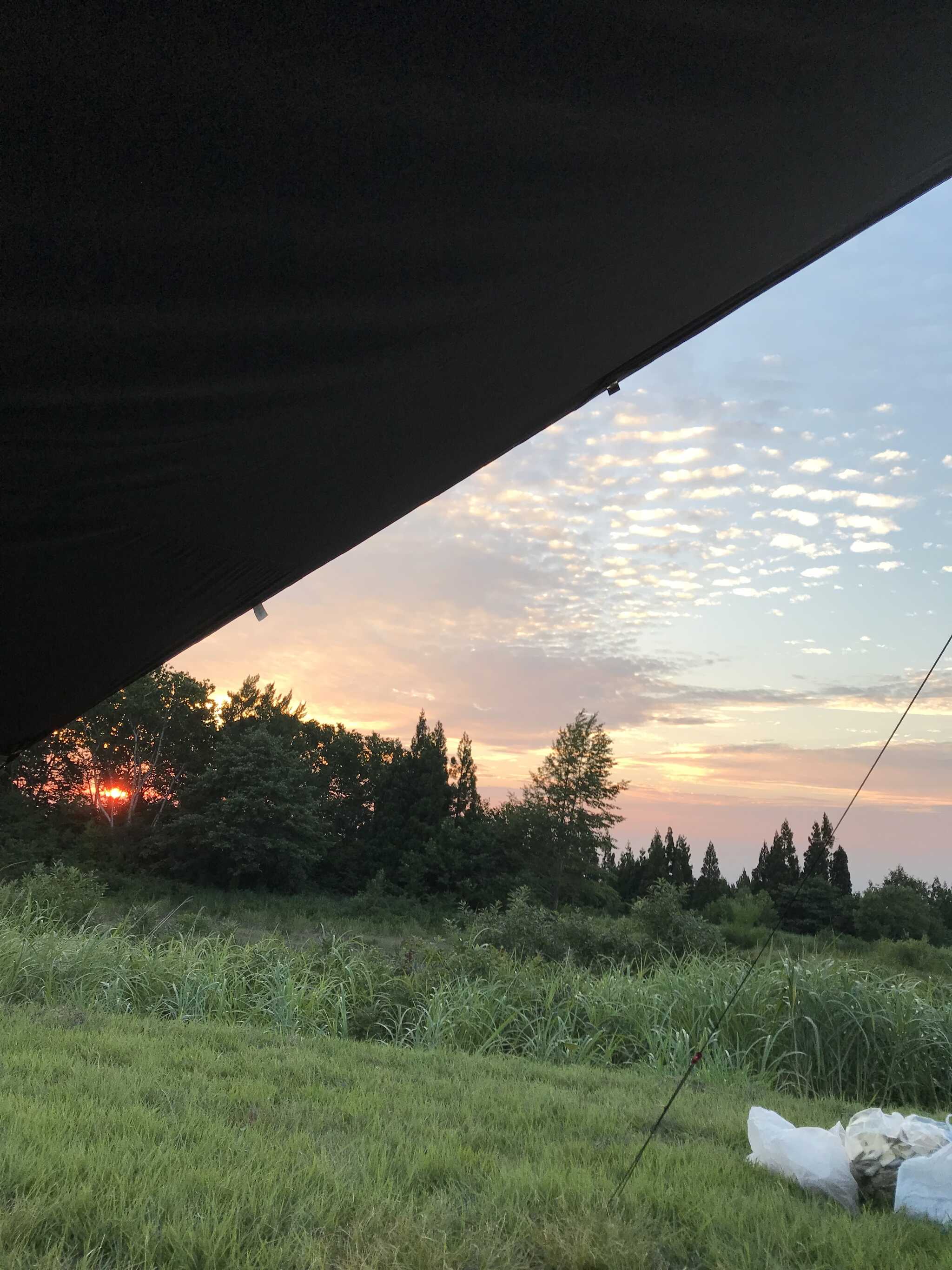 夕日が最高