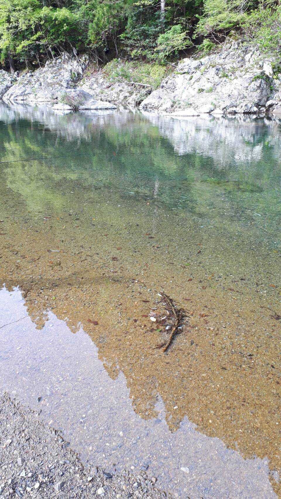 天川村キャンプ場 コテージいずもとの写真 1枚目