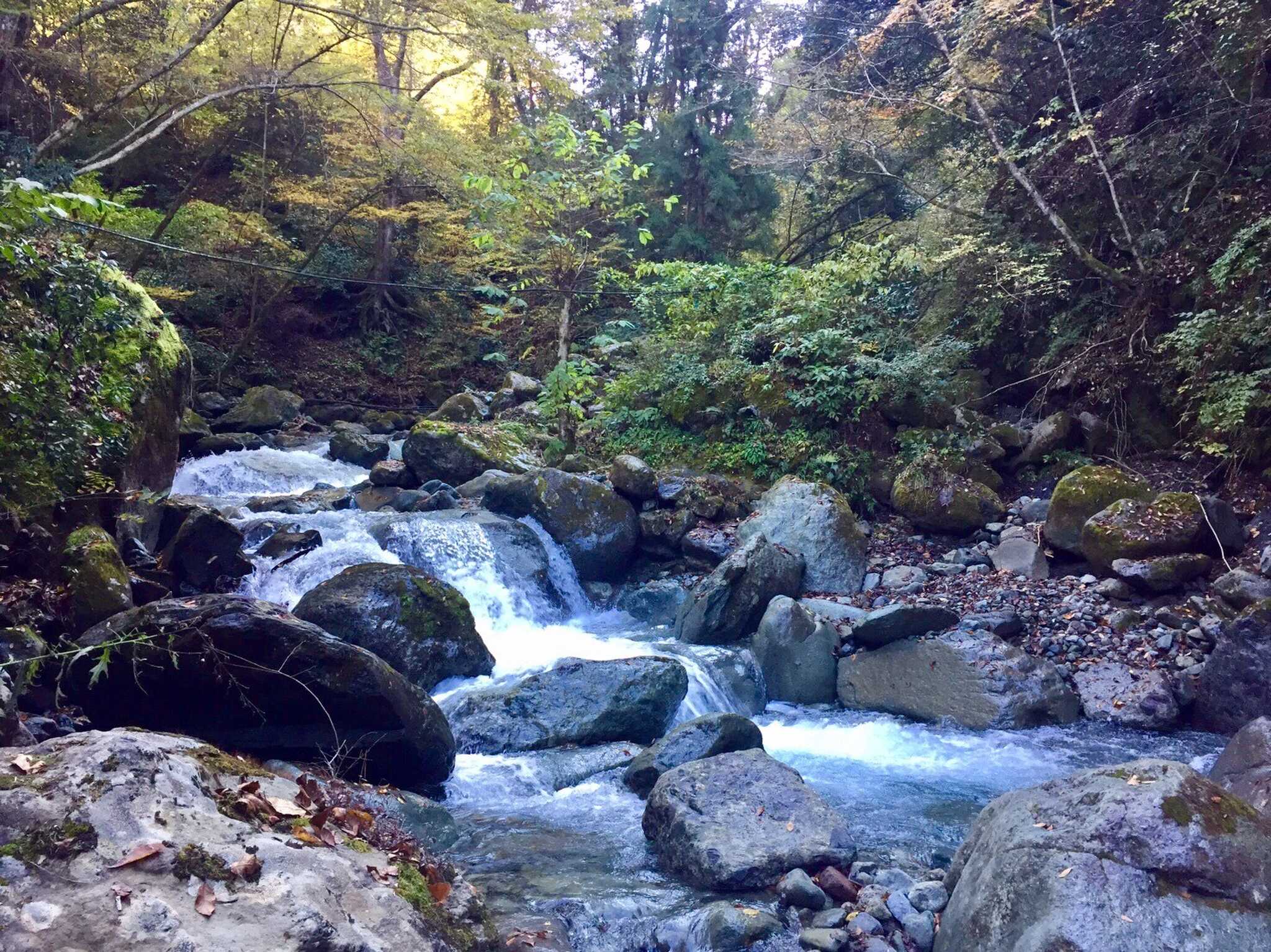 此の間沢渓流園の写真 2枚目