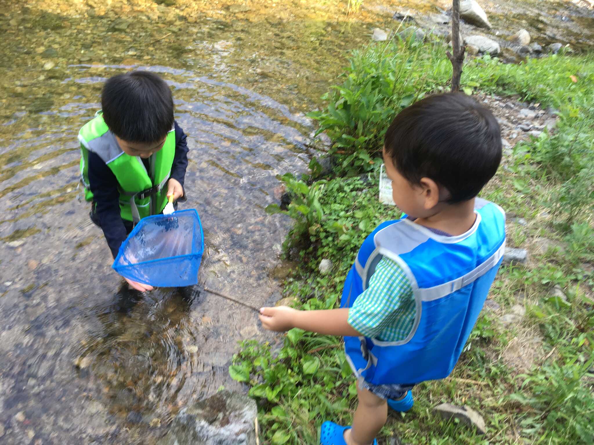 みと自然の森の写真 4枚目
