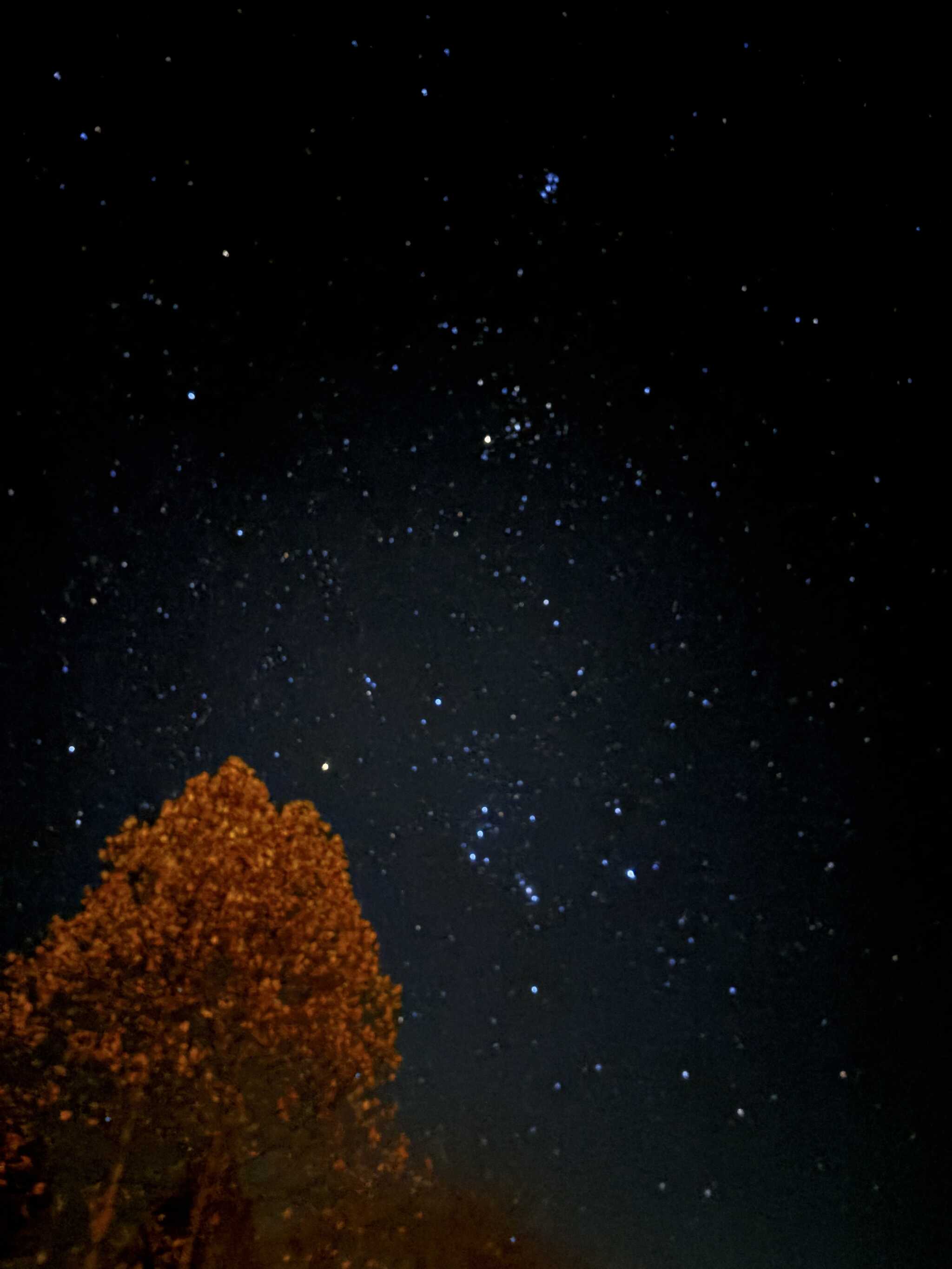 満点の星空。寝たくなかったです。