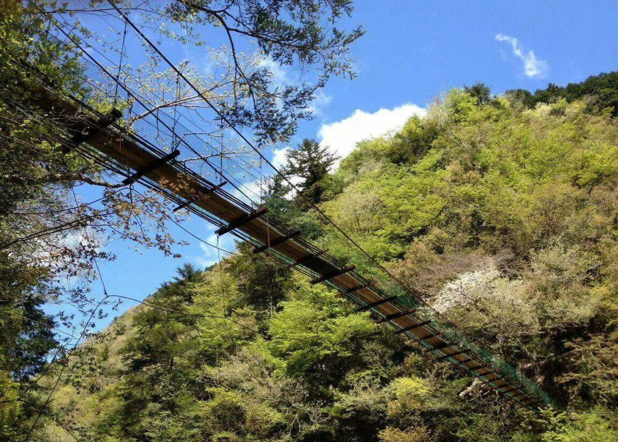 つり橋