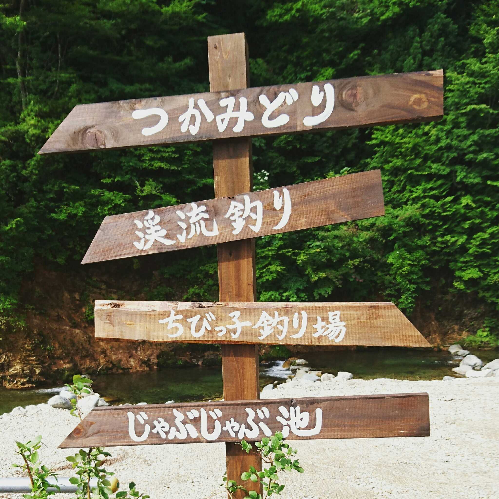 板取キャンプ場の写真 3枚目