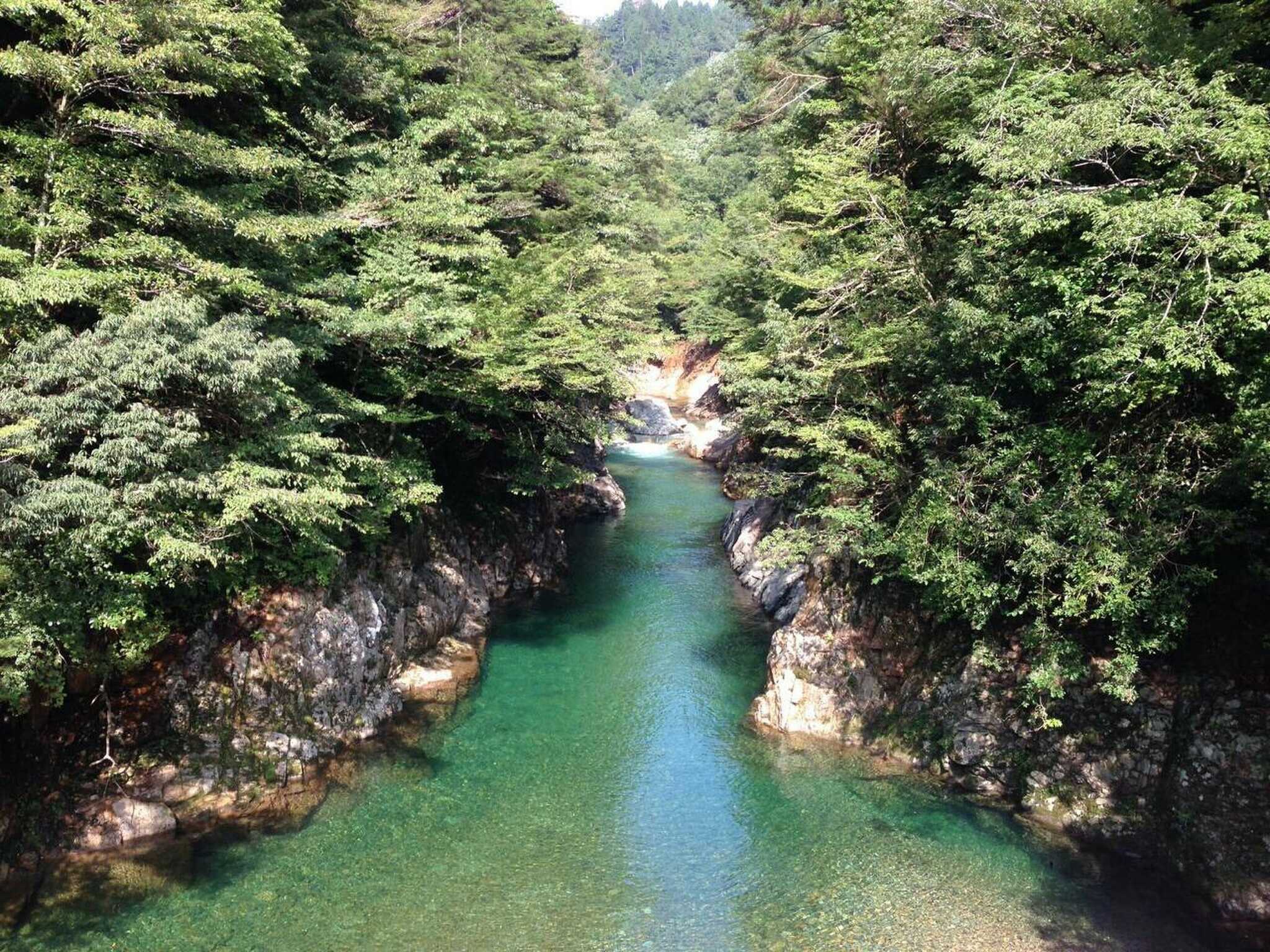 綺麗な板取川