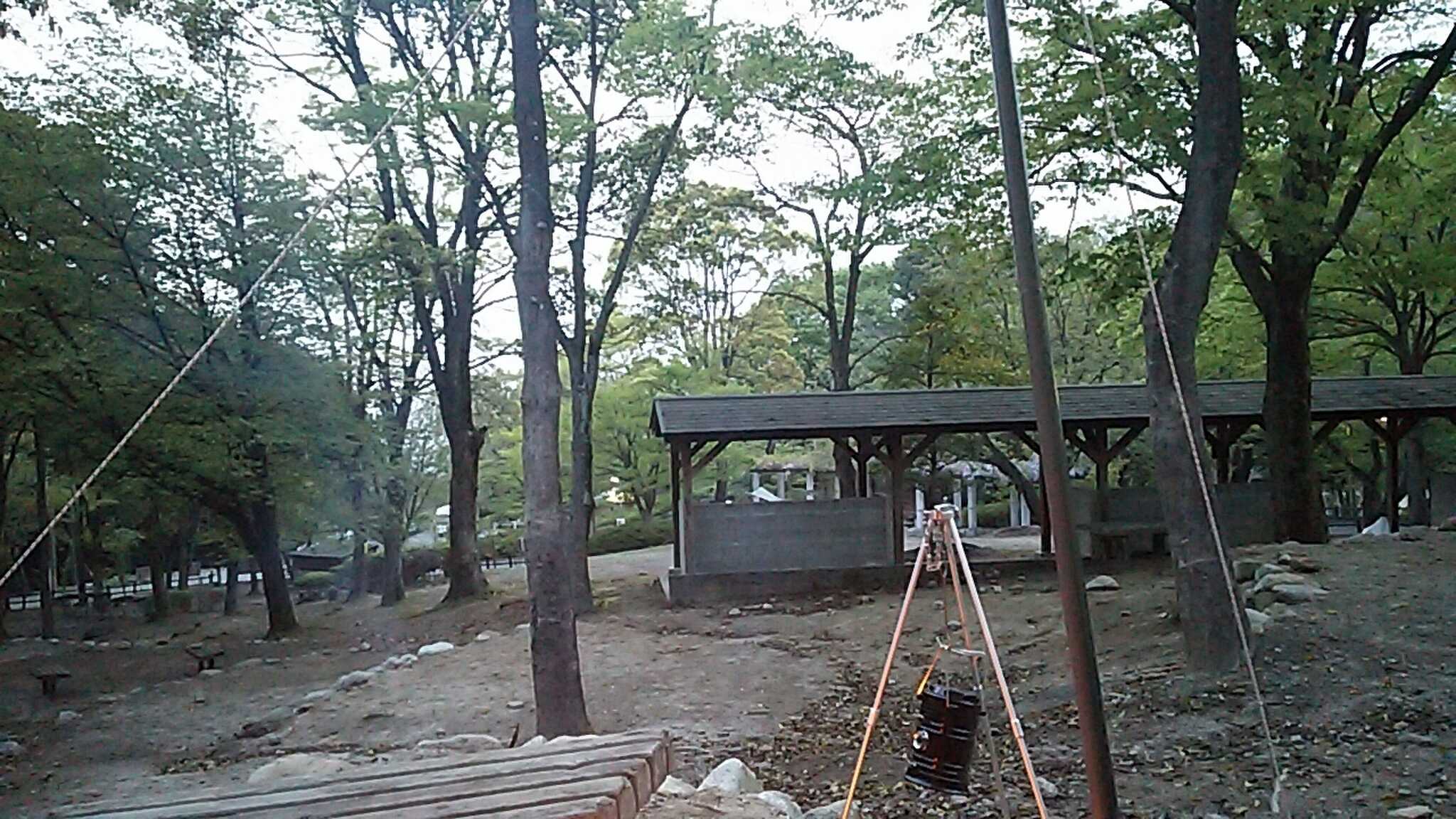 一本松公園(昭和の森)の写真 2枚目