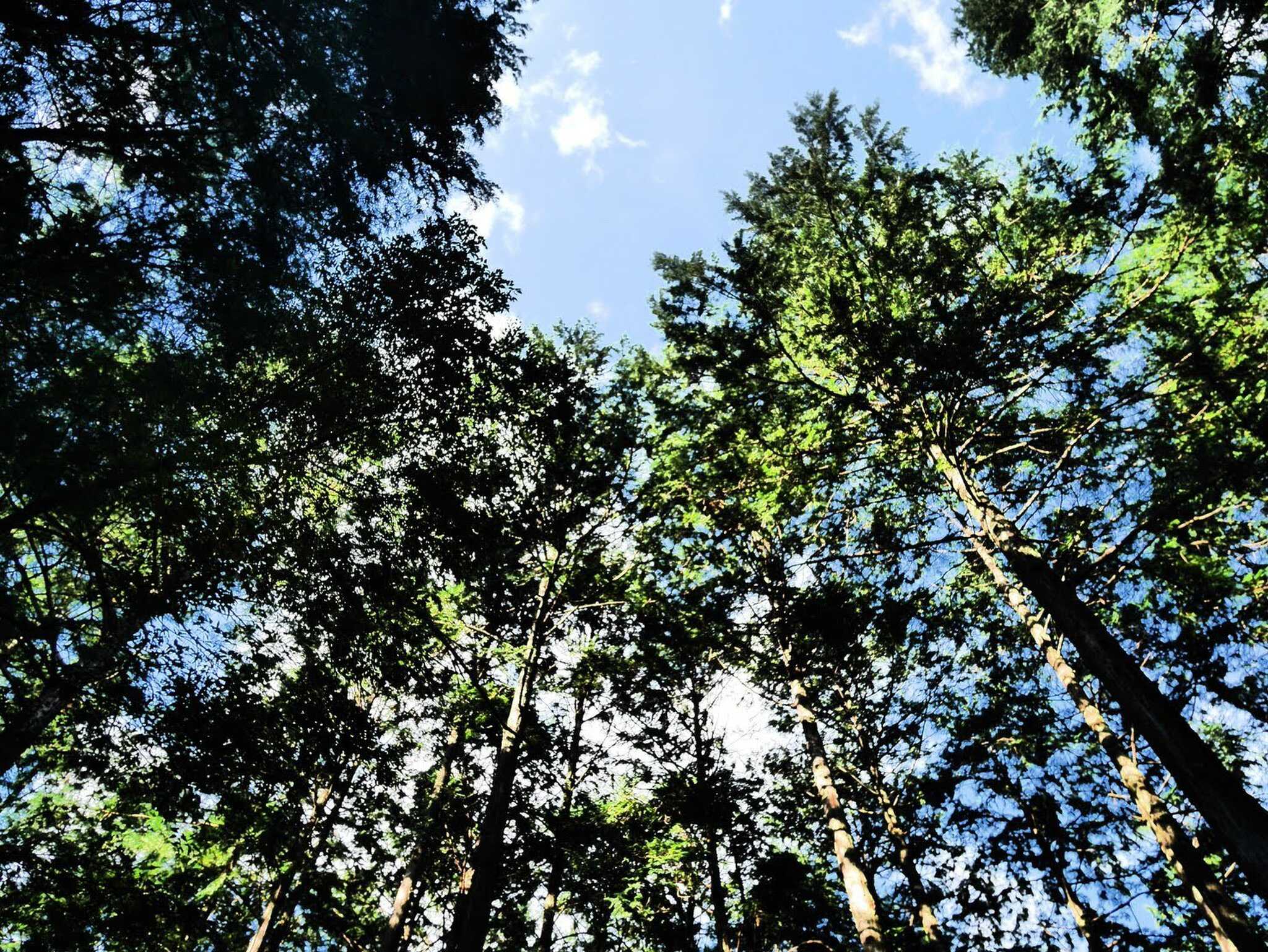 キャンプinn海山の口コミ投稿写真