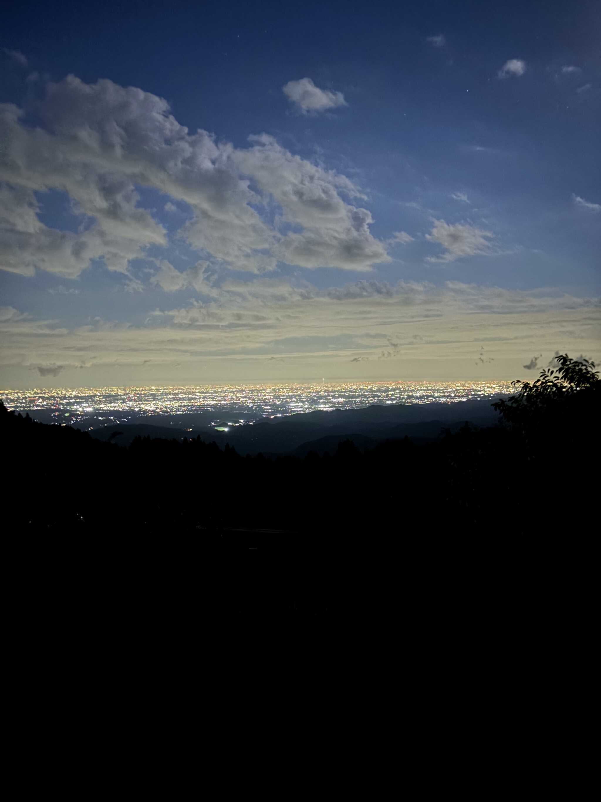 夜景です