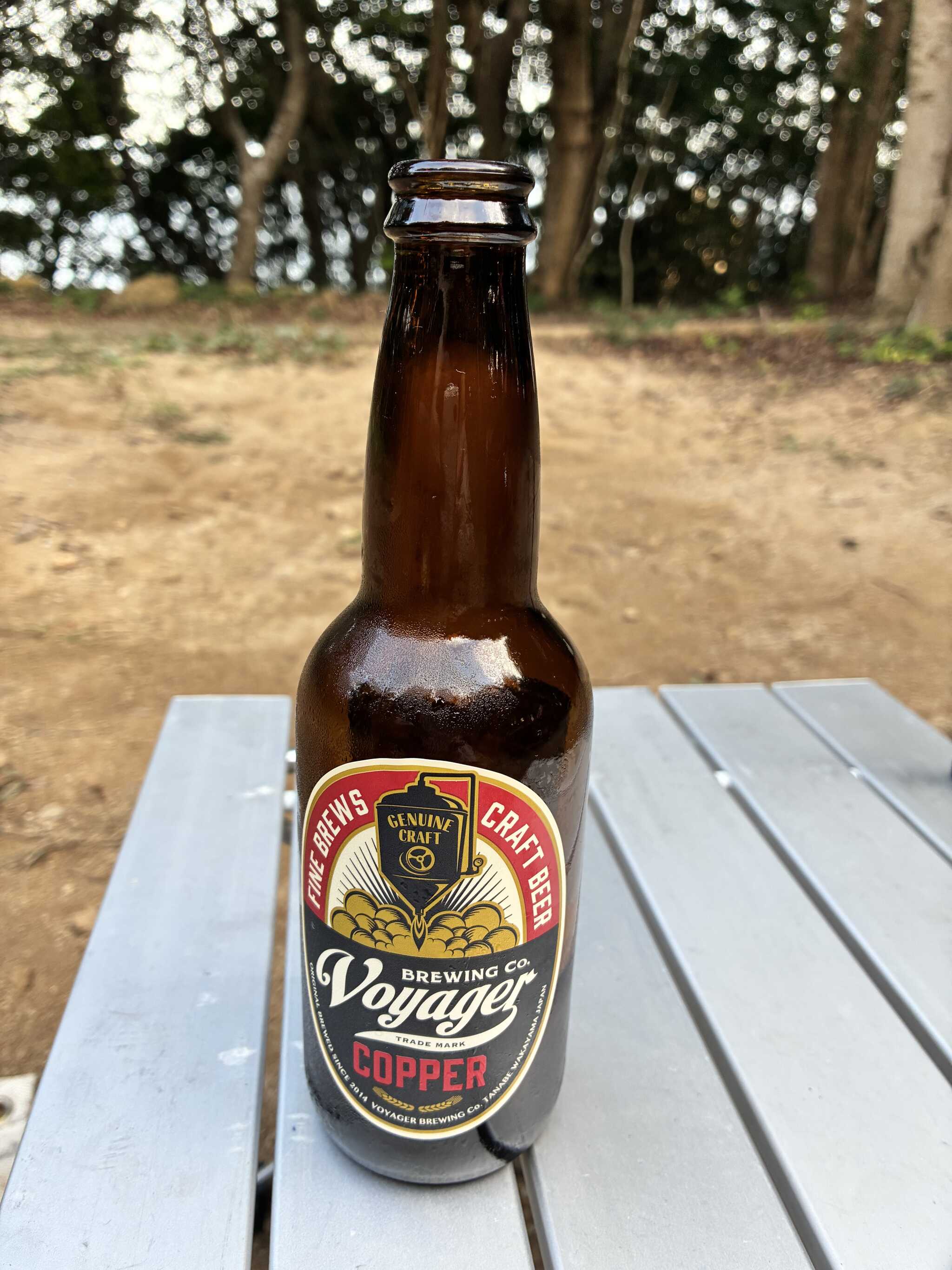 売店で買いました。設営後に頂きました。