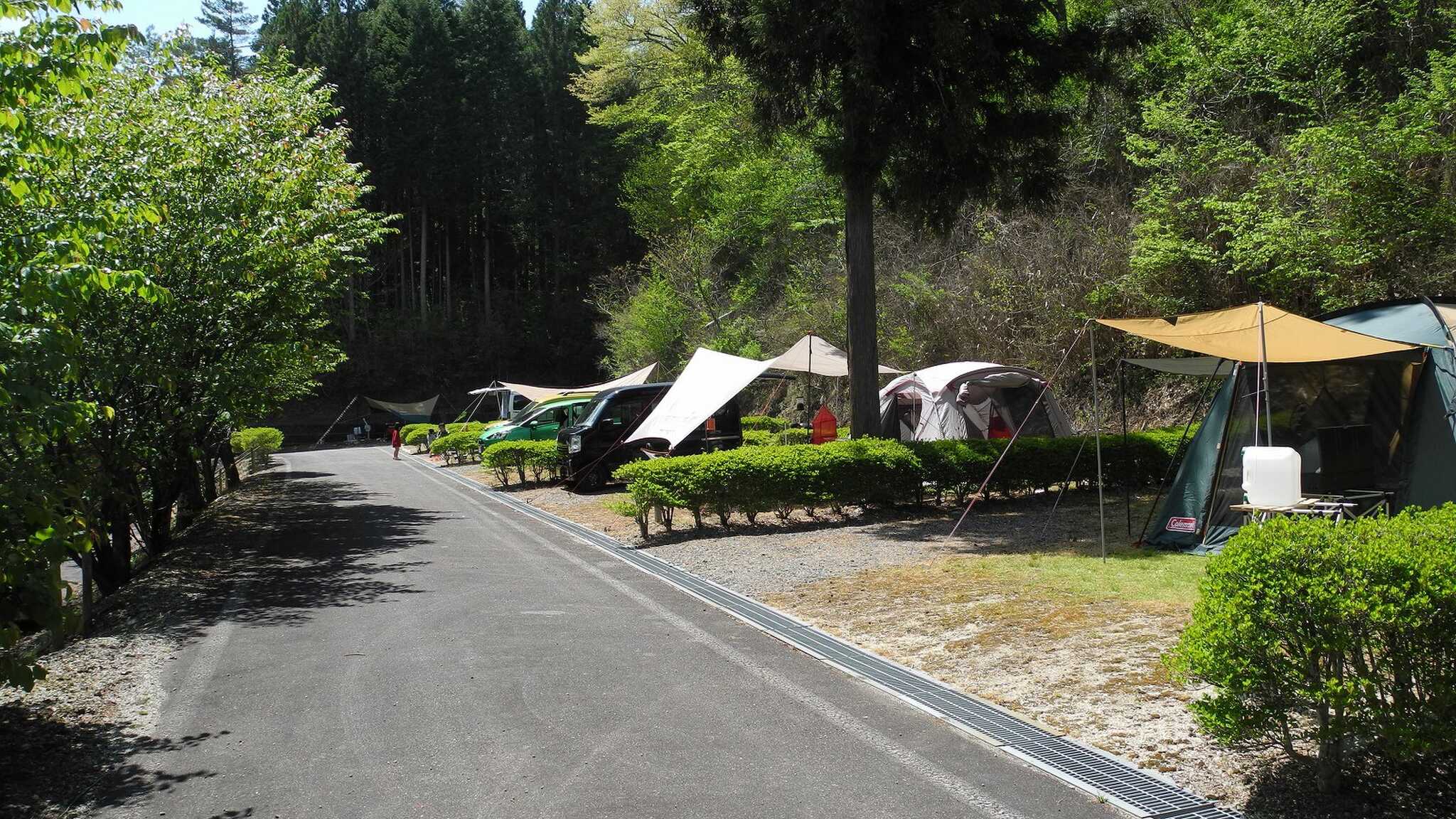 大河内森林公園キャンプ場の写真 4枚目