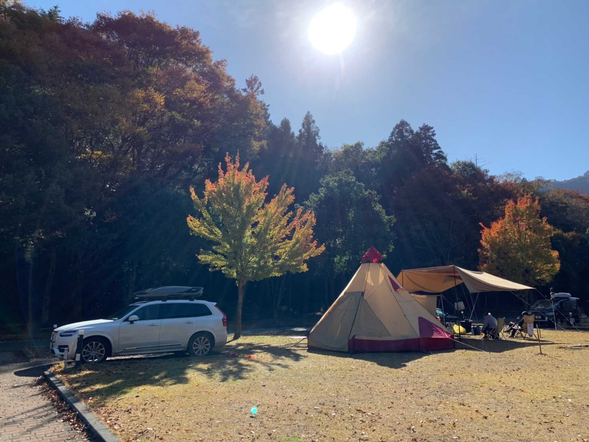 反対側の紅葉も見事でした
