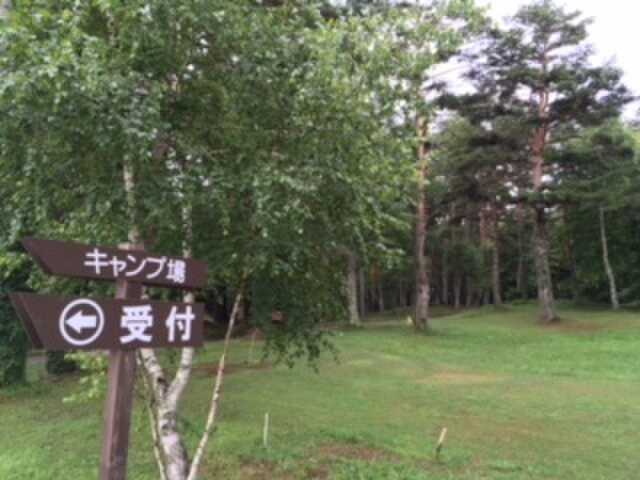 キャンプ場内は自然がいっぱいです